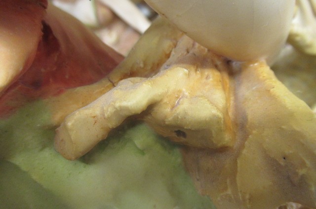 AN AMPHORA FIGURE Image