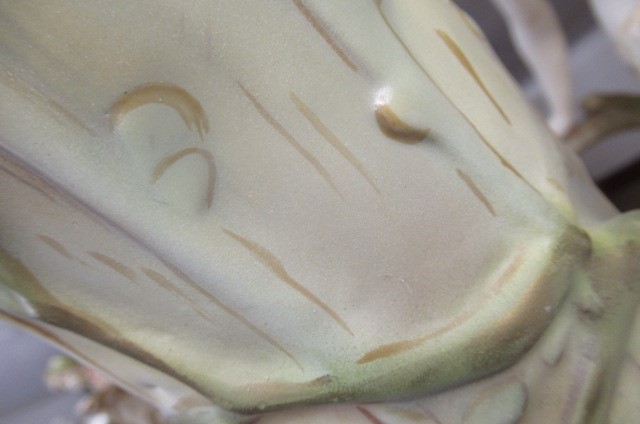 A LARGE ROYAL DUX FIGURAL VASE Image