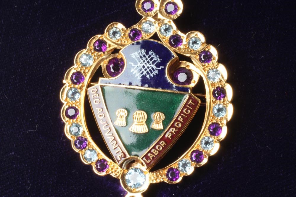A 9CT GOLD LADY MAYORESS' JEWEL Image