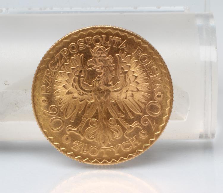 A POLISH GOLD 20 ZLOTY Image