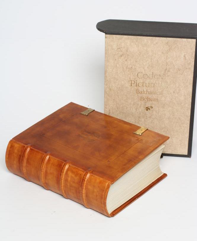 CODEX PICTURATUS Image