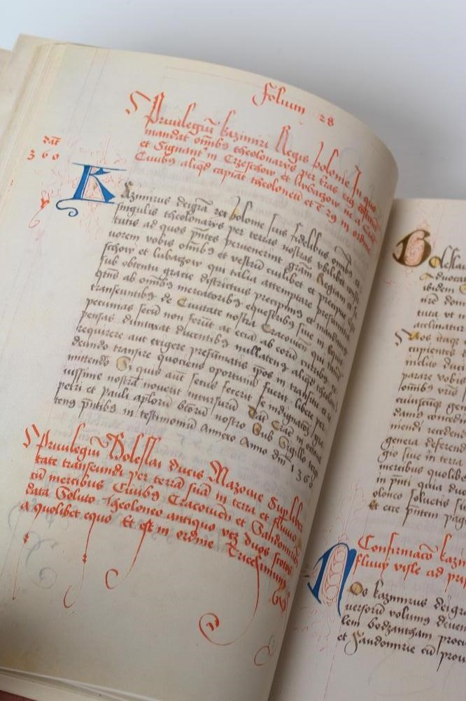 CODEX PICTURATUS Image