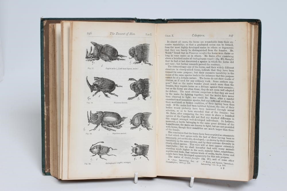 CHARLES DARWIN Image