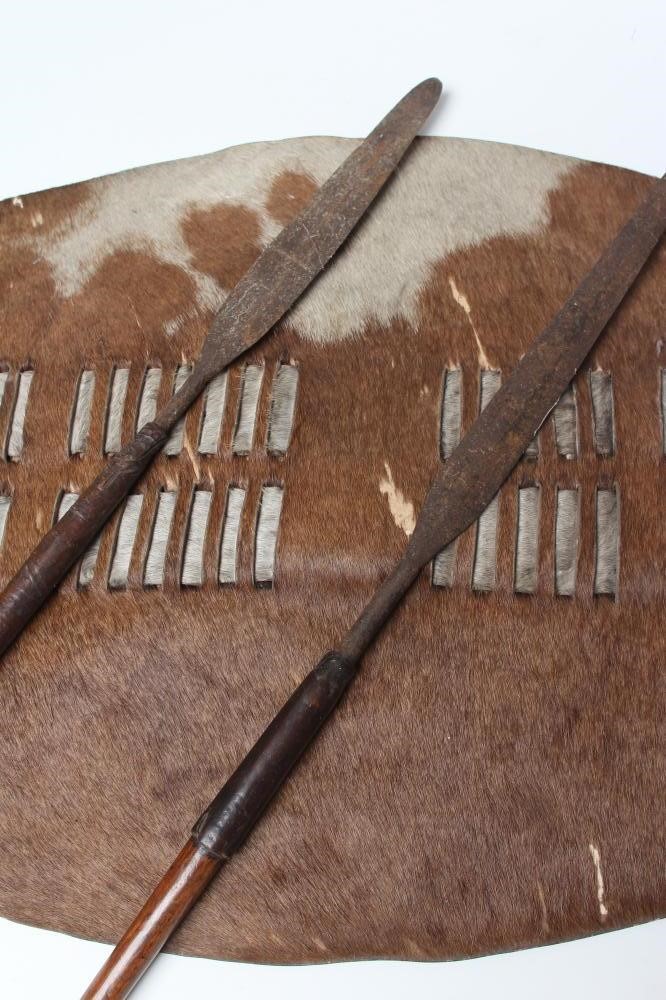 A ZULU COWHIDE SHIELD AND TWO ASSAGAI Image