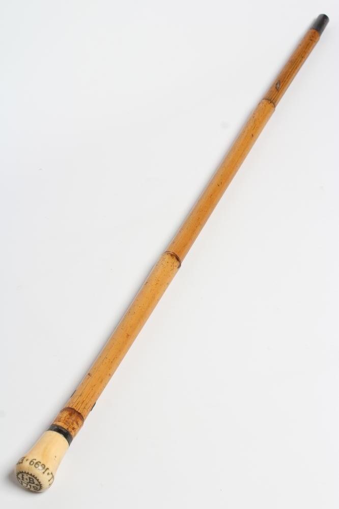 A GENTLEMAN'S CANE Image