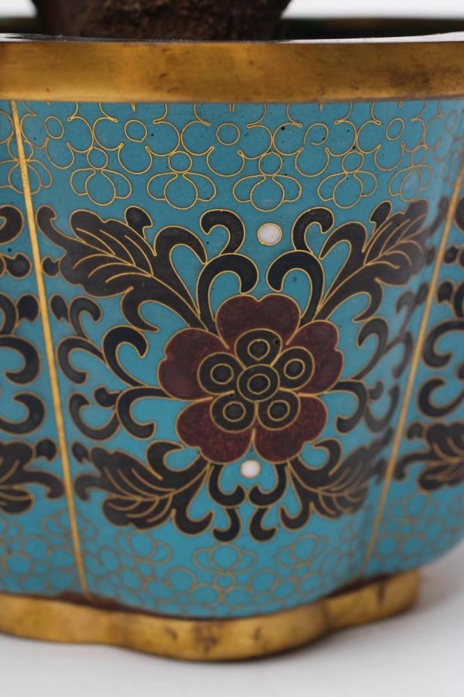 A CHINESE CLOISONNE ENAMEL AND HARDSTONE TREE Image