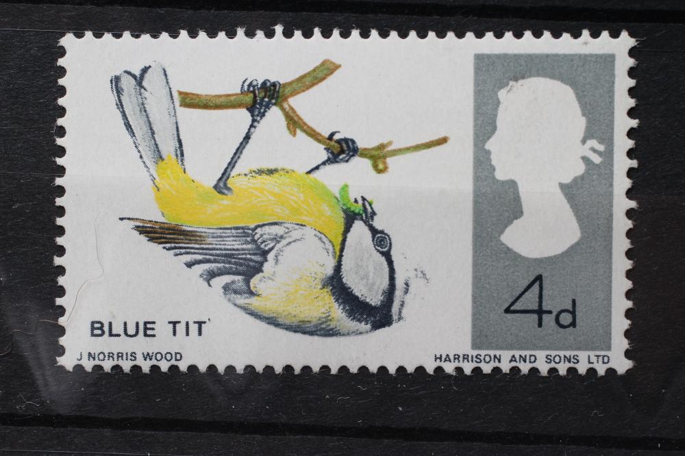RARE 1966 BIRDS BLUE TIT missing blue  (Est. plus 21% premium inc. VAT) Image