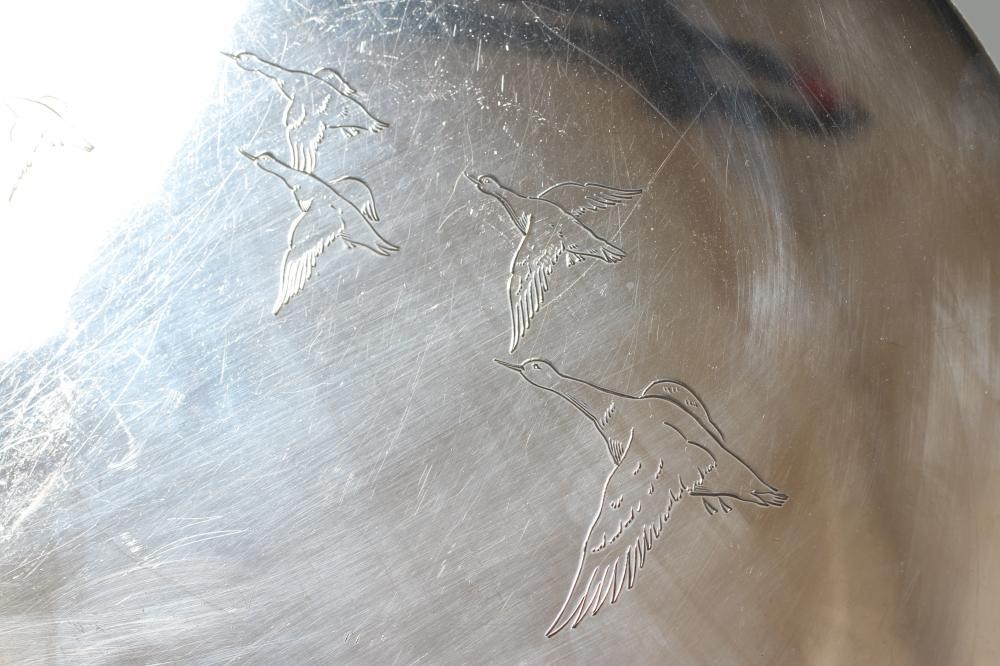 A CIRCULAR DISH Image