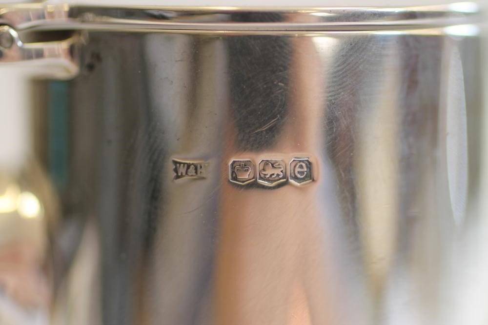 A SILVER SUGAR CASTOR Image