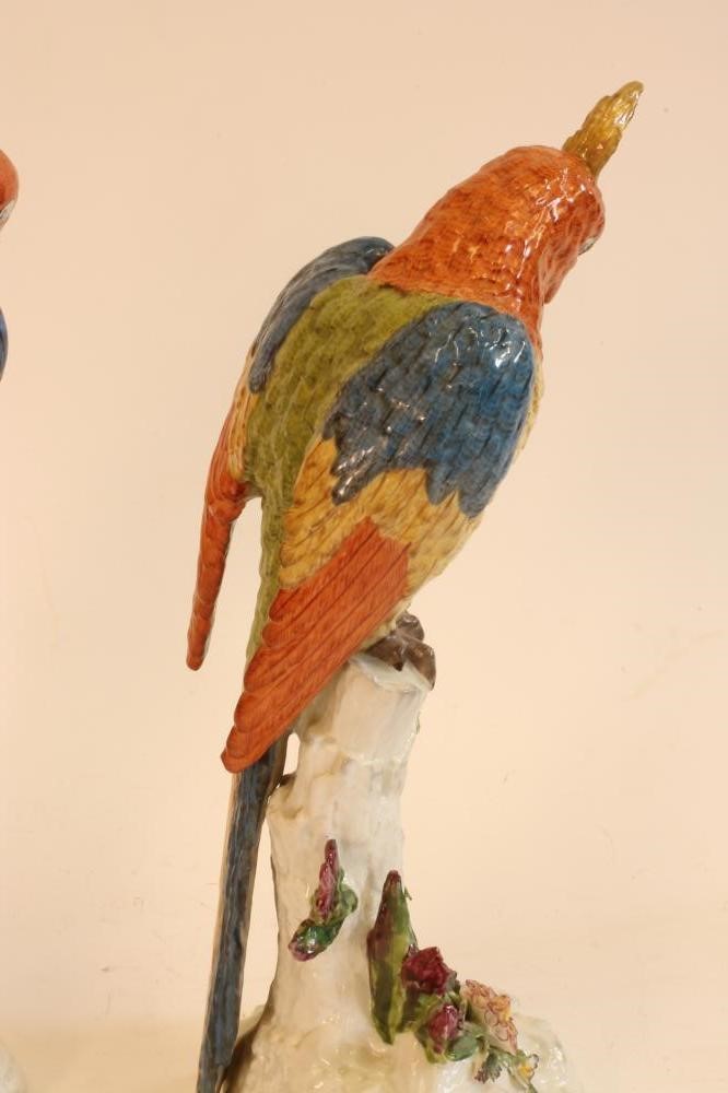 A PAIR OF CONTINENTAL PORCELAIN PARROTS Image