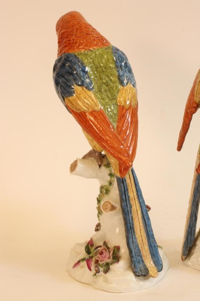 A PAIR OF CONTINENTAL PORCELAIN PARROTS Image