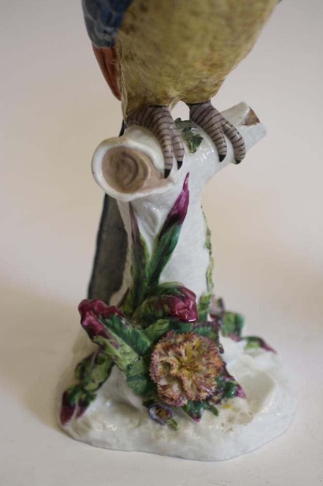 A PAIR OF CONTINENTAL PORCELAIN PARROTS Image