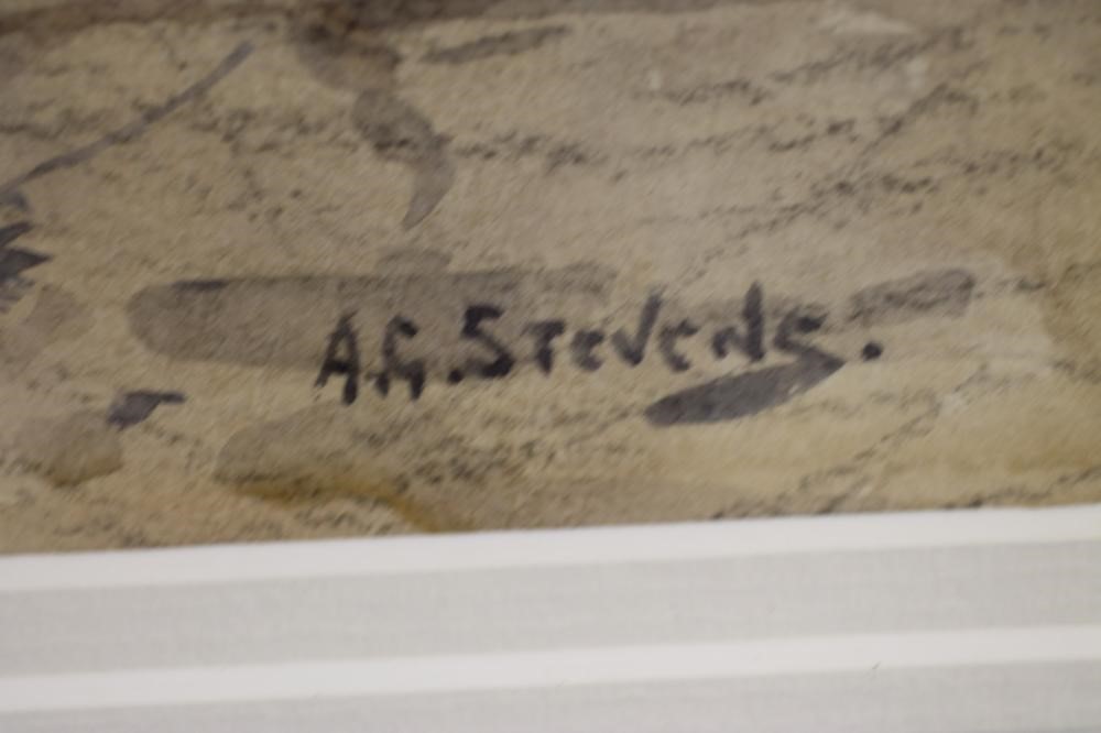 ALBERT GEORGE STEVENS (1863-1925) Image