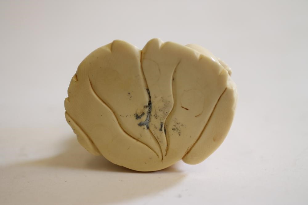 AN IVORY BUDDHA Image