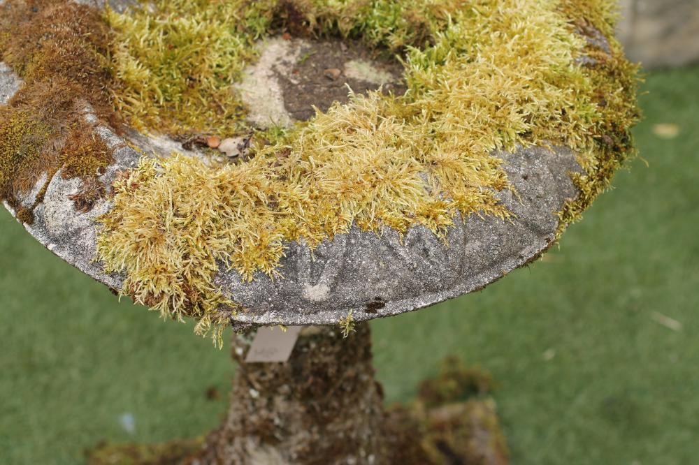 A COMPOSITION STONE BIRD BATH of circular form Image