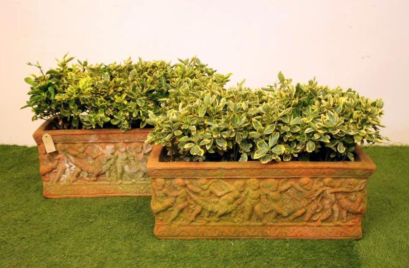 A PAIR OF TERRACOTTA PLANTERS of oblong form moulded with a frieze of sporting cherubs Image