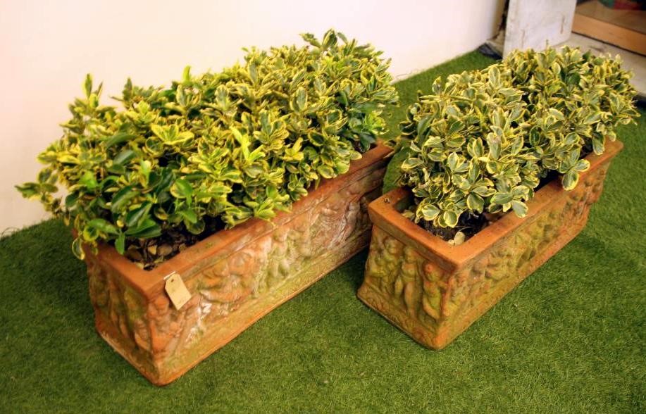 A PAIR OF TERRACOTTA PLANTERS of oblong form moulded with a frieze of sporting cherubs Image