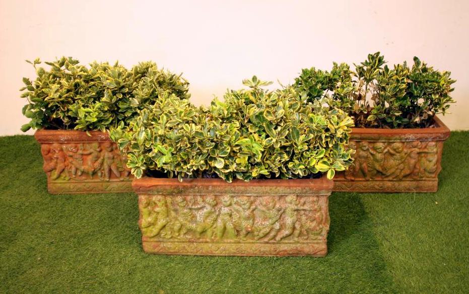 A SET OF THREE TERRACOTTA PLANTERS of oblong form moulded with a frieze of sporting cherubs Image