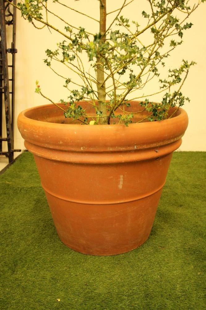 A LARGE TERRACOTTA PLANT POT of tapering form with moulded rim Image