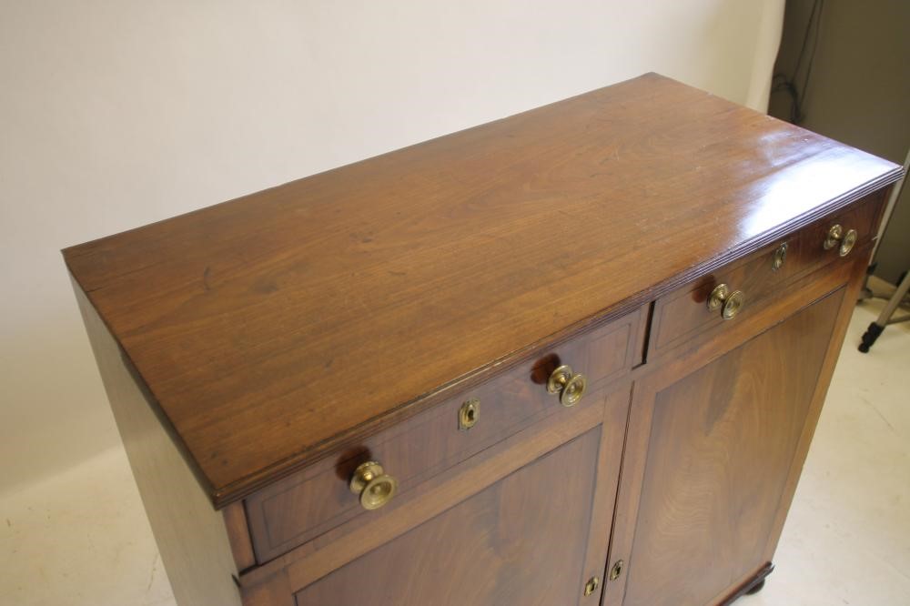 A REGENCY MAHOGANY AND EBONY STRUNG CABINET being the lower half of a bookcase Image