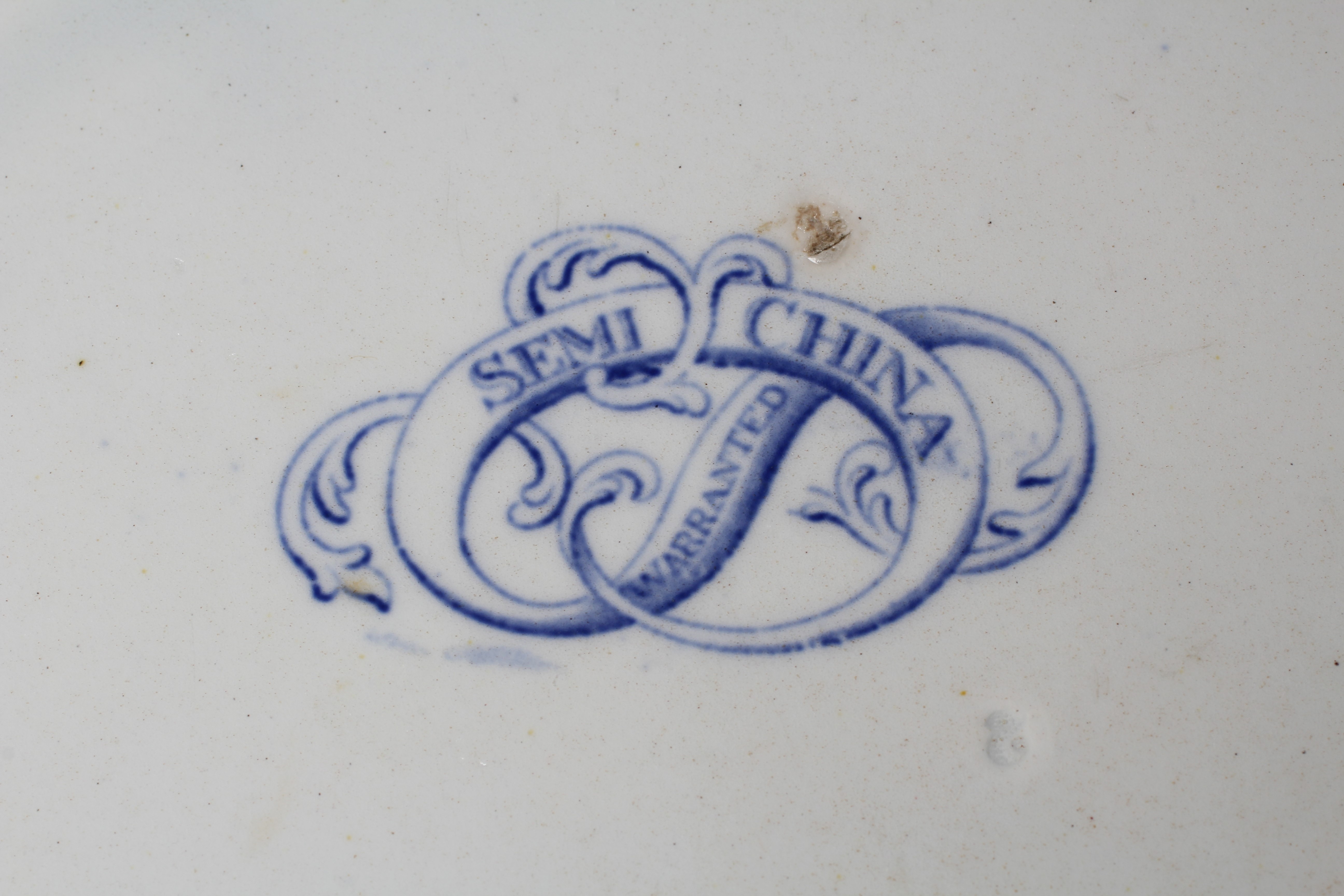 A STAFFORDSHIRE POTTERY BLUE PRINTED BEEMASTER PATTERN TUREEN Image
