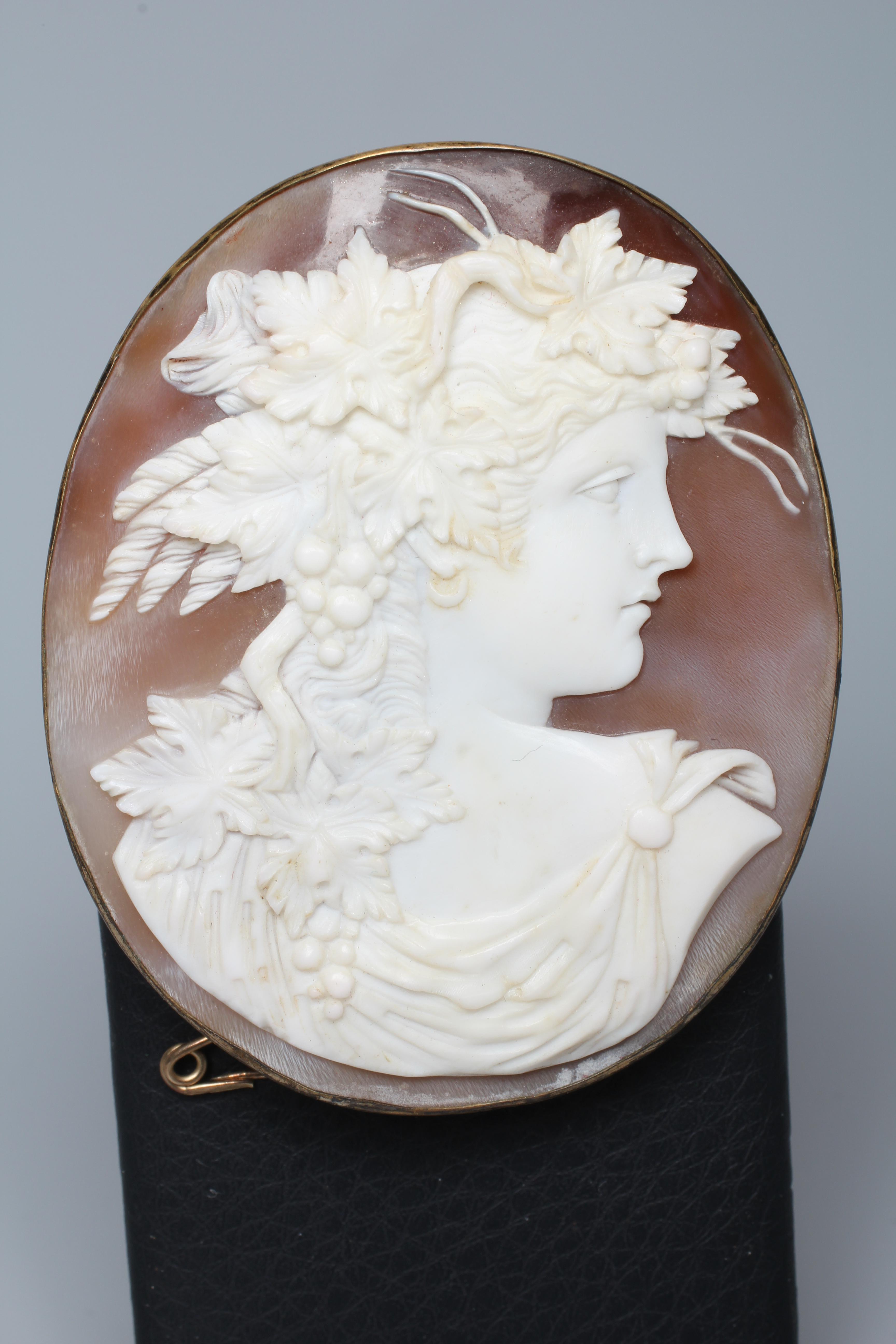 A VICTORIAN SHELL CAMEO BROOCH carved as Dionysus, in a plain gold plated mount Image