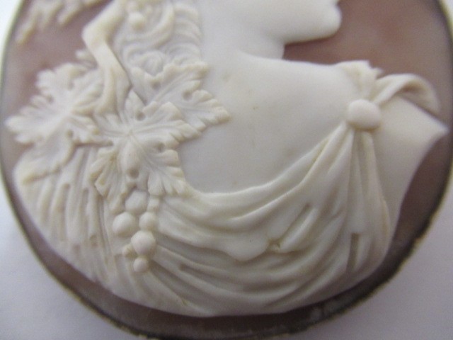 A VICTORIAN SHELL CAMEO BROOCH carved as Dionysus, in a plain gold plated mount Image