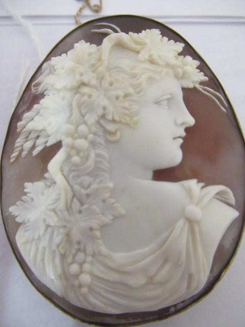 A VICTORIAN SHELL CAMEO BROOCH carved as Dionysus, in a plain gold plated mount Image