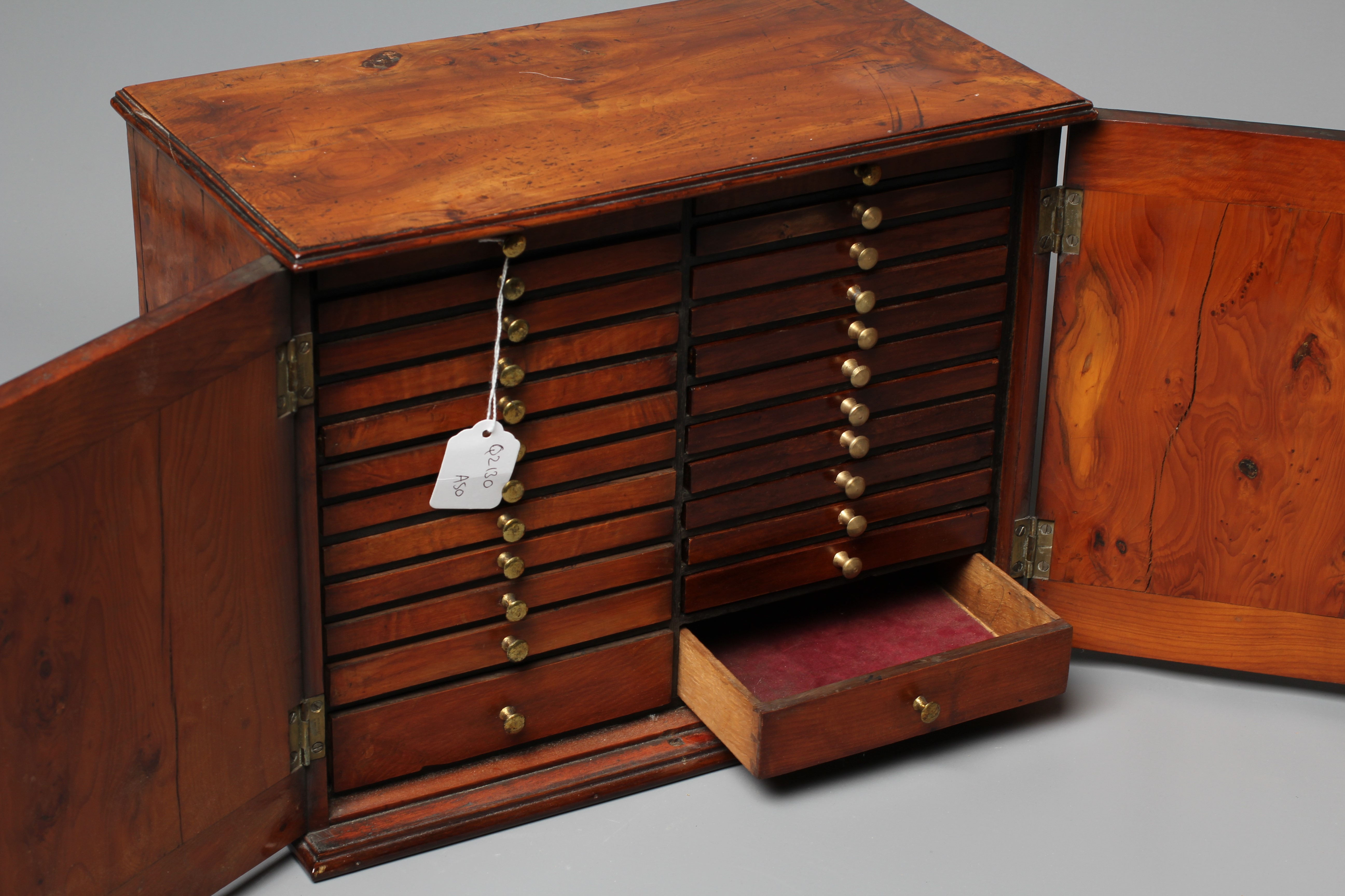 A VICTORIAN COIN COLLECTOR'S YEW WOOD OBLONG CABINET Image