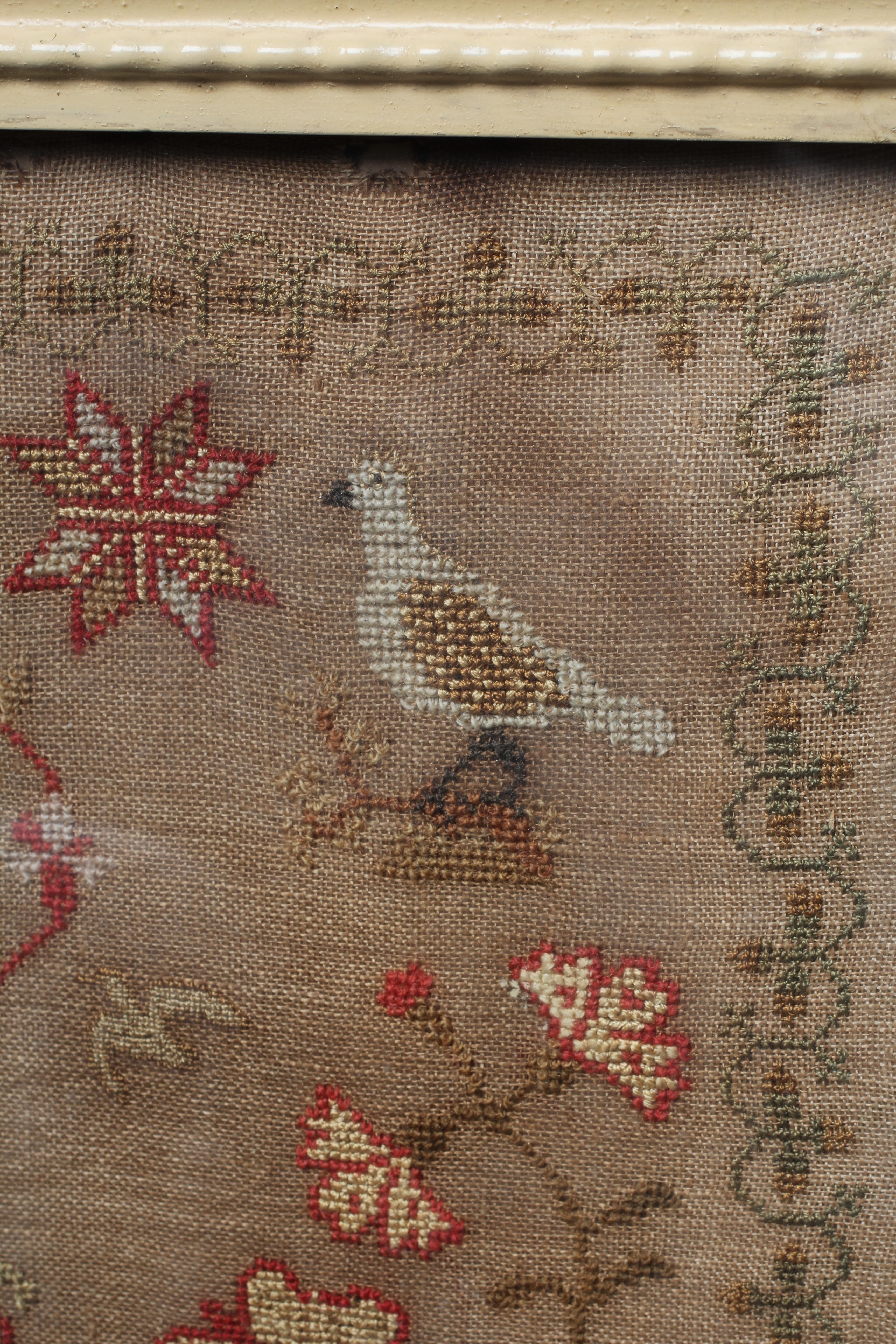 A WILLIAM IV SAMPLER Image
