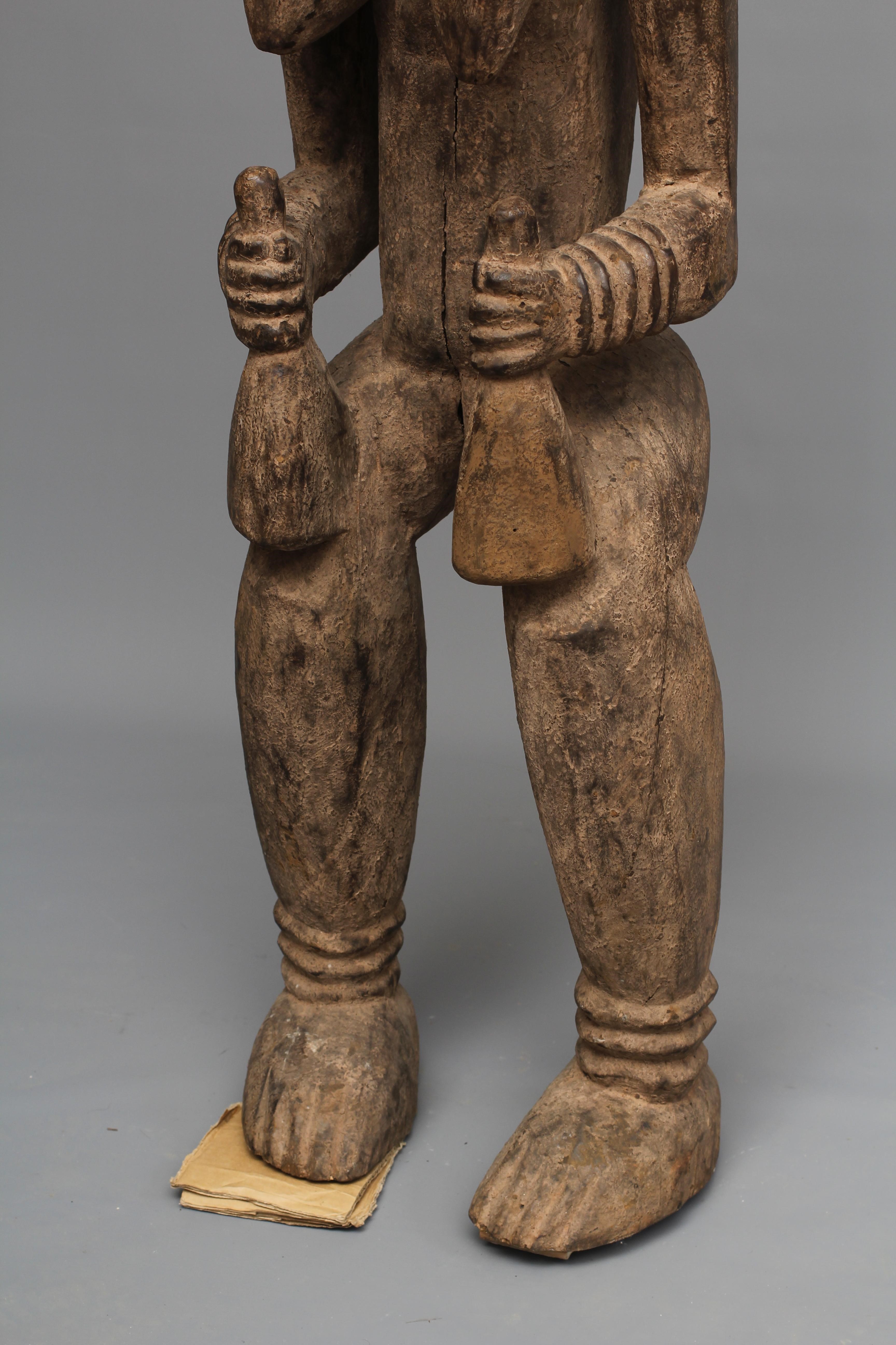 A BAULE FERTILITY FIGURE, Ivory Coast, carved with braided coiffure, neck rings, arms free to the Image