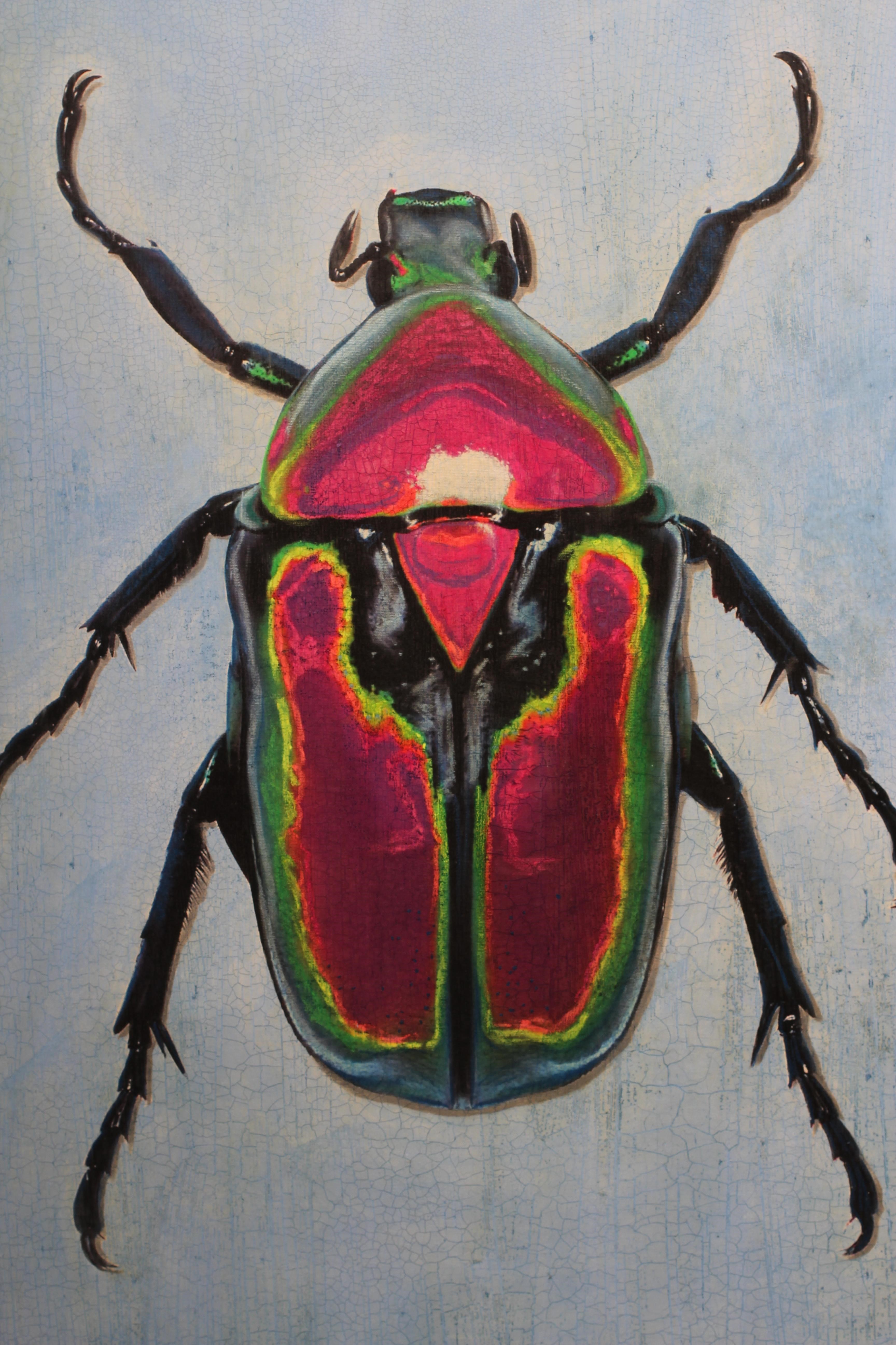 ADAM BRICUSSE (B.1964) Beetle, signed with monogram lower right, inscribed verso 'To Mell, with love Image
