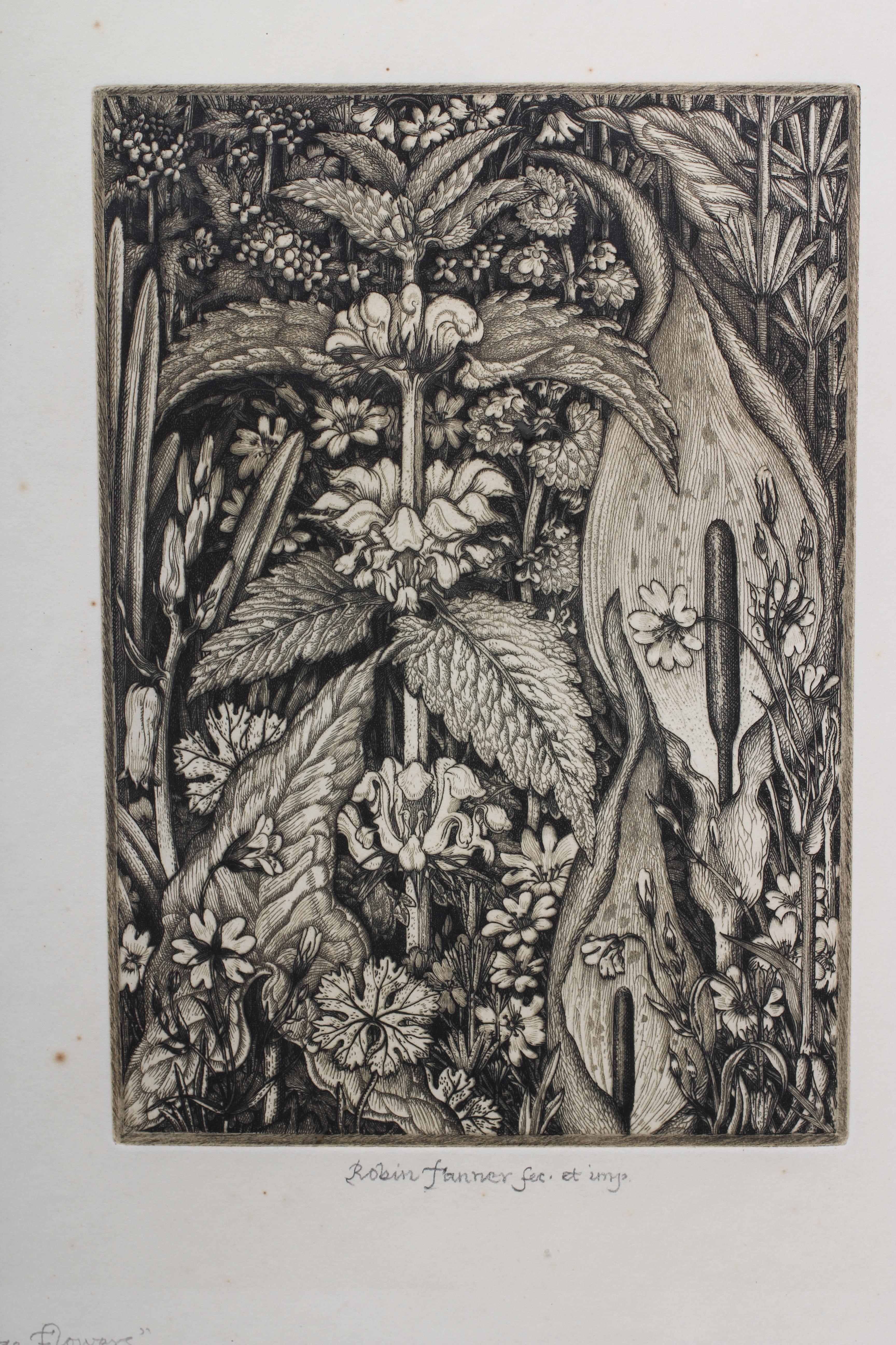 ROBIN TANNER (1904-1988) Hedge Row Flowers Image