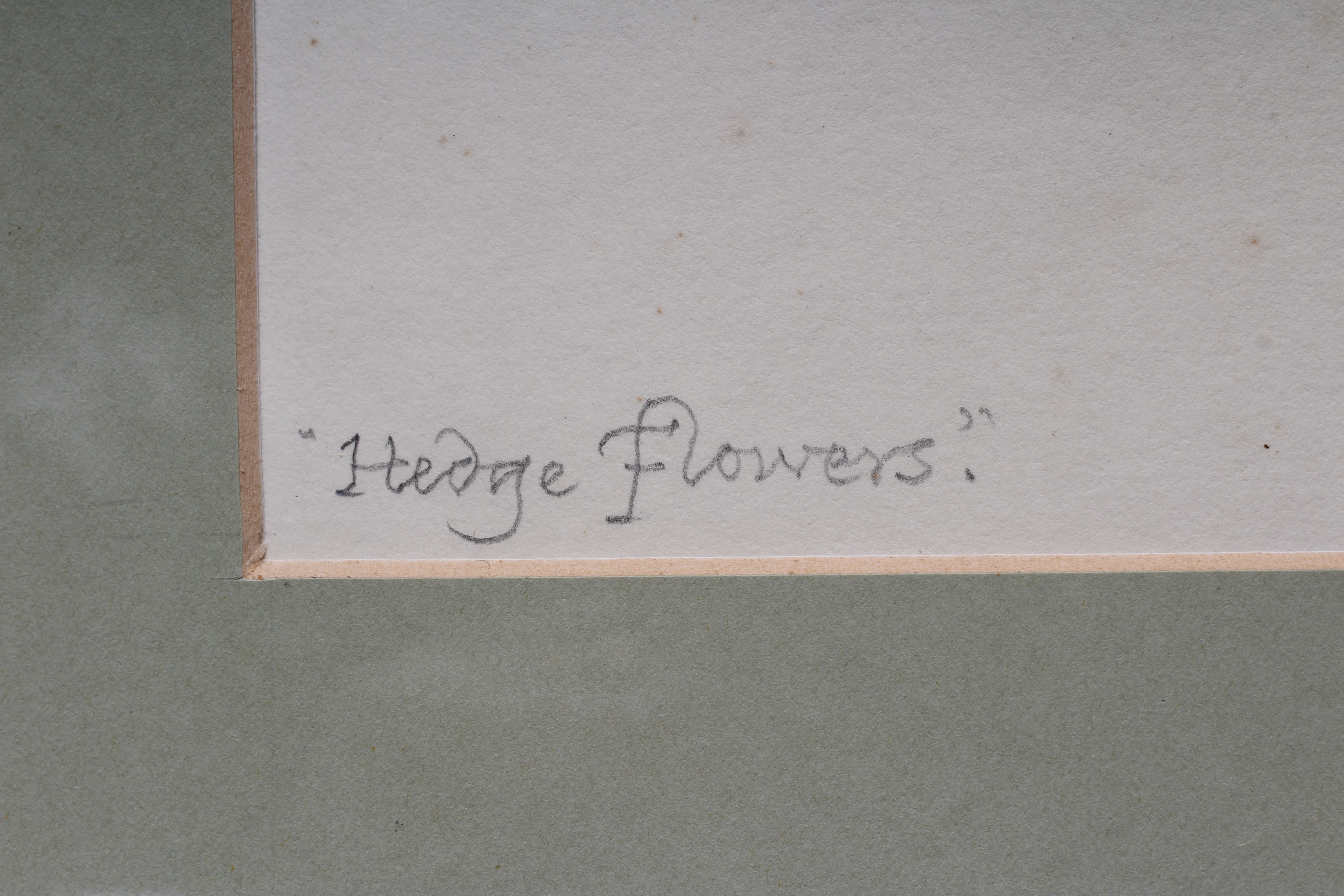 ROBIN TANNER (1904-1988) Hedge Row Flowers Image