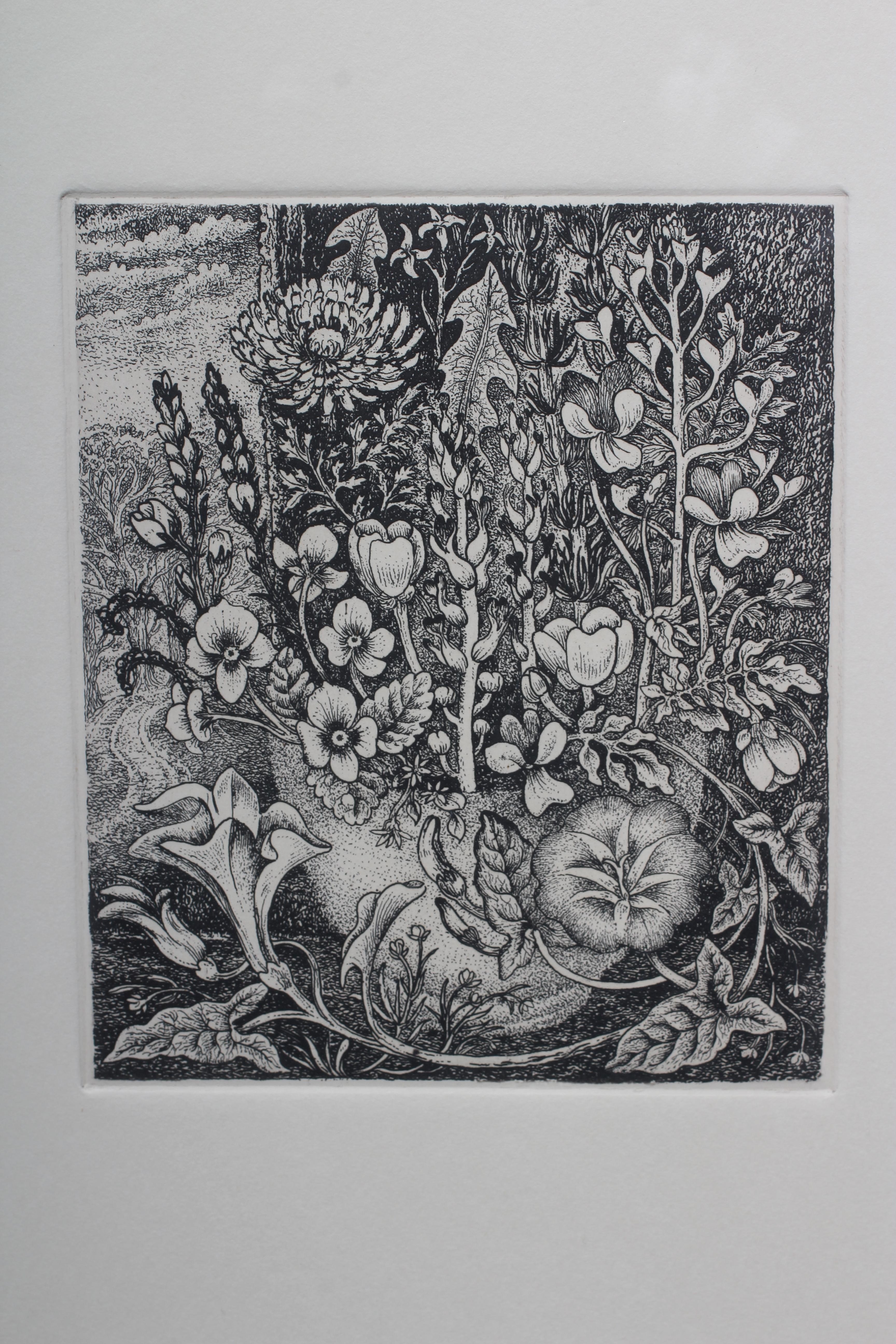 ROBIN TANNER (1904-1988) Weeds - The Memorial Portfolio, incised stamp numbered 57/100 lower right, Image