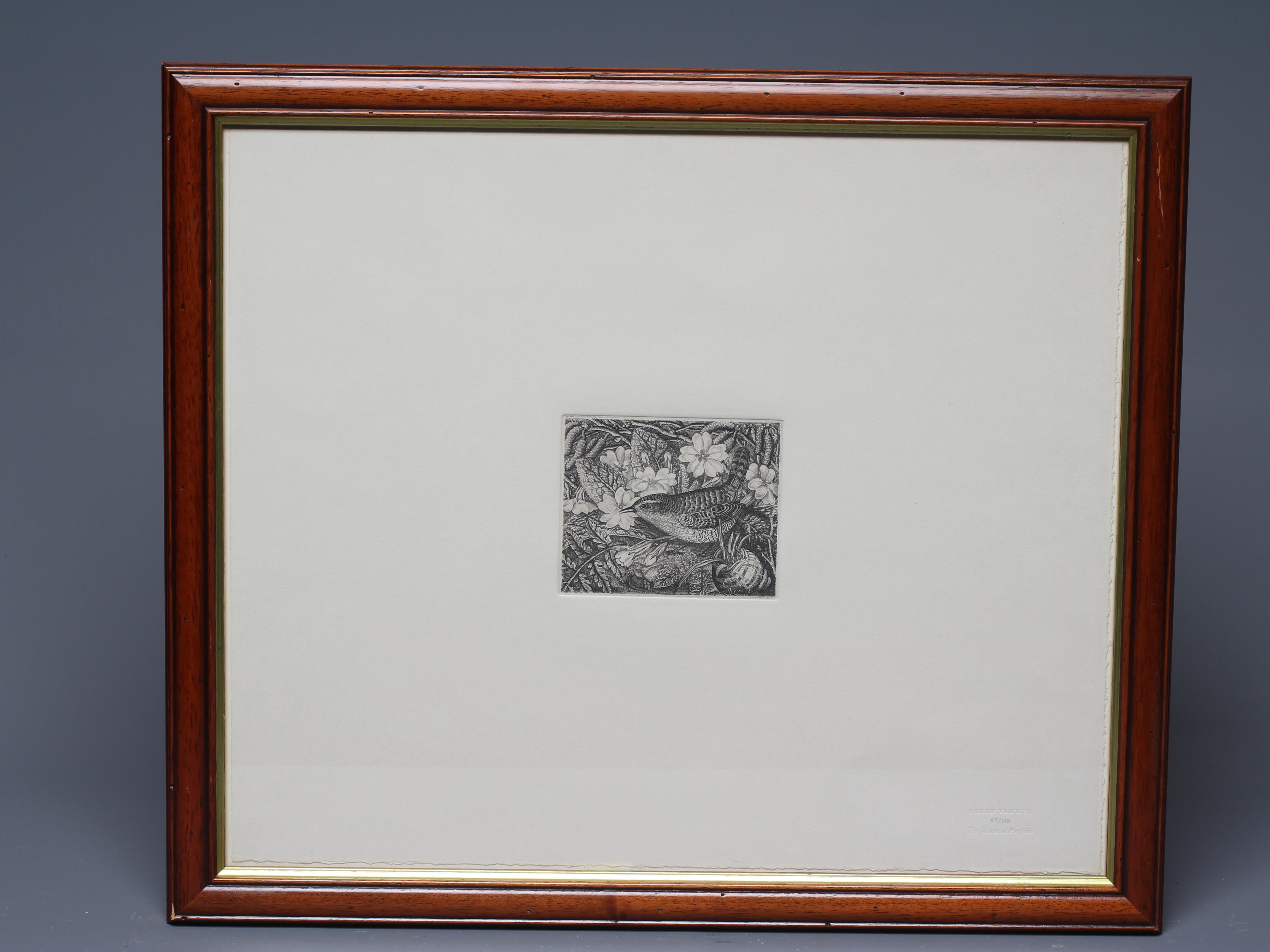 ROBIN TANNER (1904-1988) Wren and Primroses, incised stamp numbered 57/100 lower right, etching, 3 Image