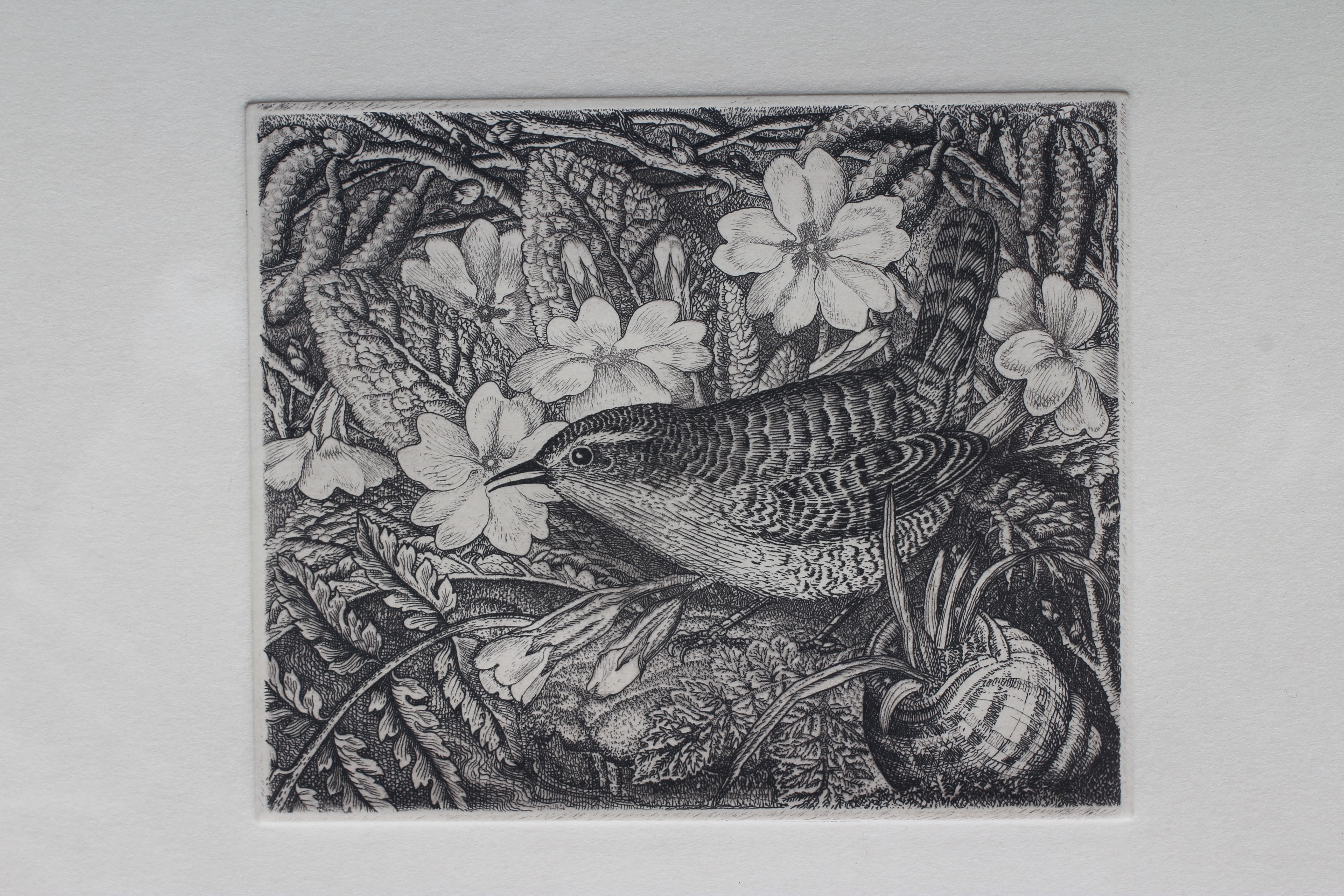 ROBIN TANNER (1904-1988) Wren and Primroses, incised stamp numbered 57/100 lower right, etching, 3 Image