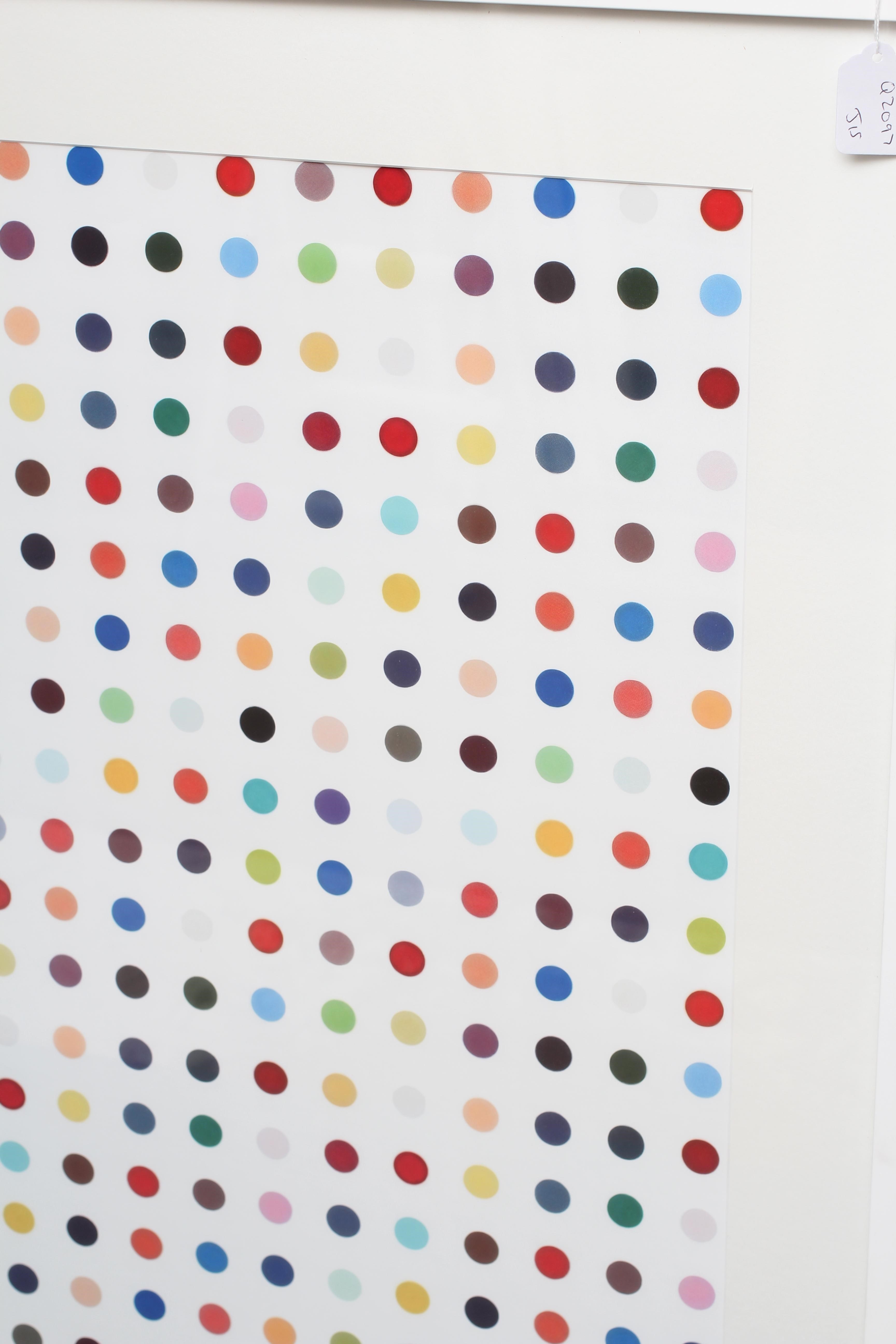 AFTER DAMIAN HIRST (B.1965) Spot Print, serigraph, 35 1/2" x 23 1/4", framed and glazed Image