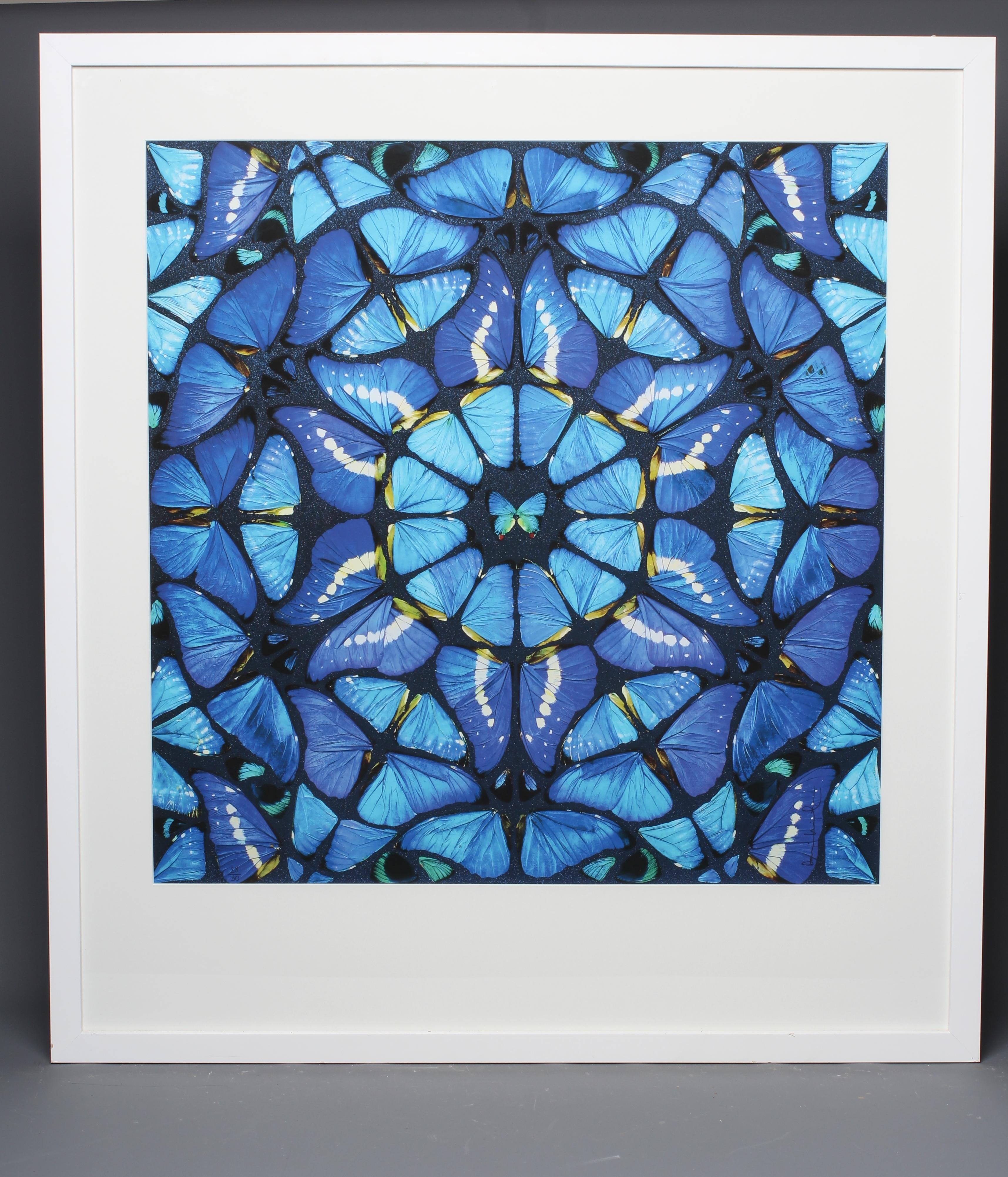 AFTER DAMIEN HIRST (B.1965) Elation, photographic print, 29" x 29" (SH), framed and glazed (subject Image