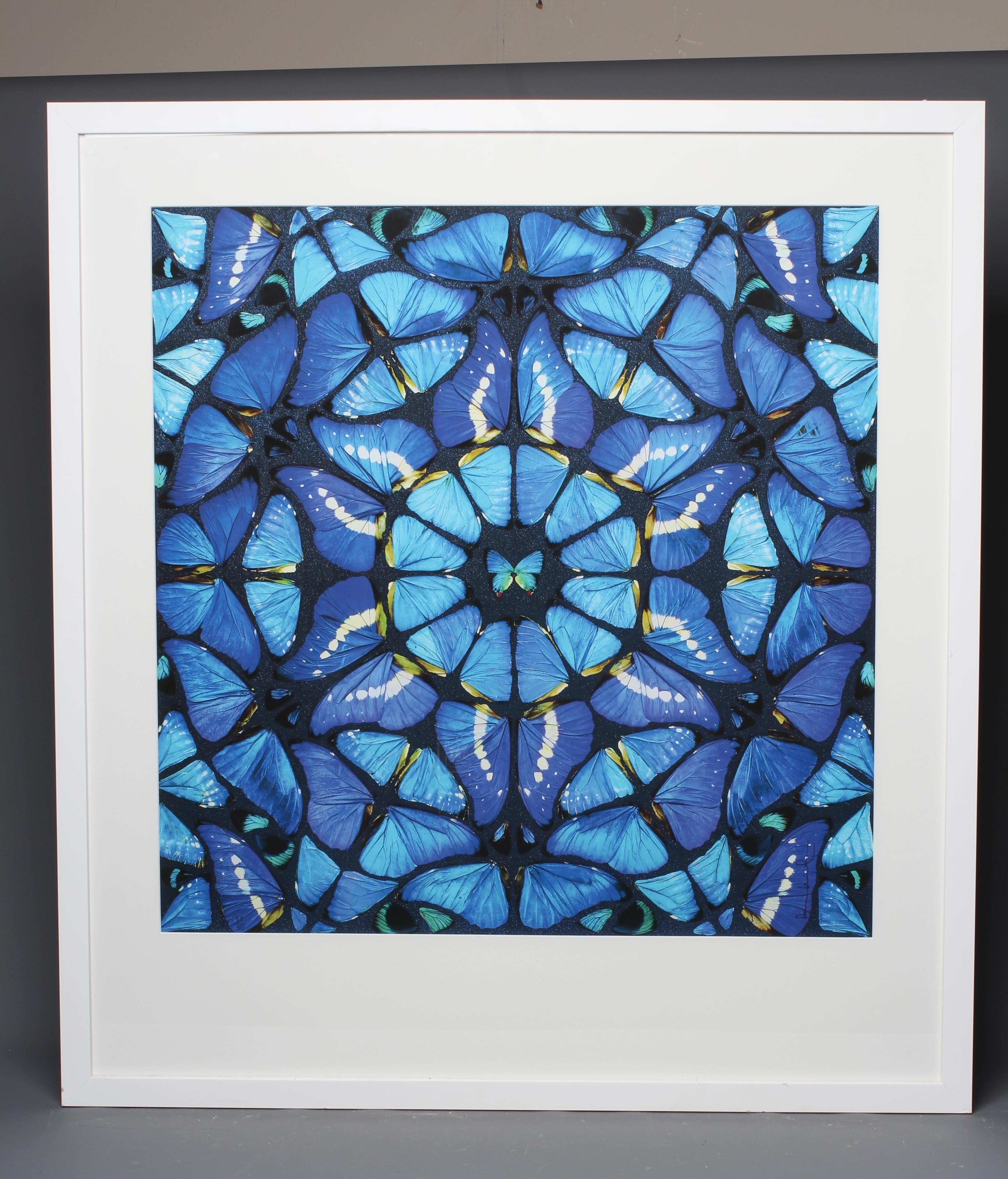 AFTER DAMIEN HIRST (B.1965) Elation, photographic print, 29" x 29" (SH), framed and glazed (subject Image