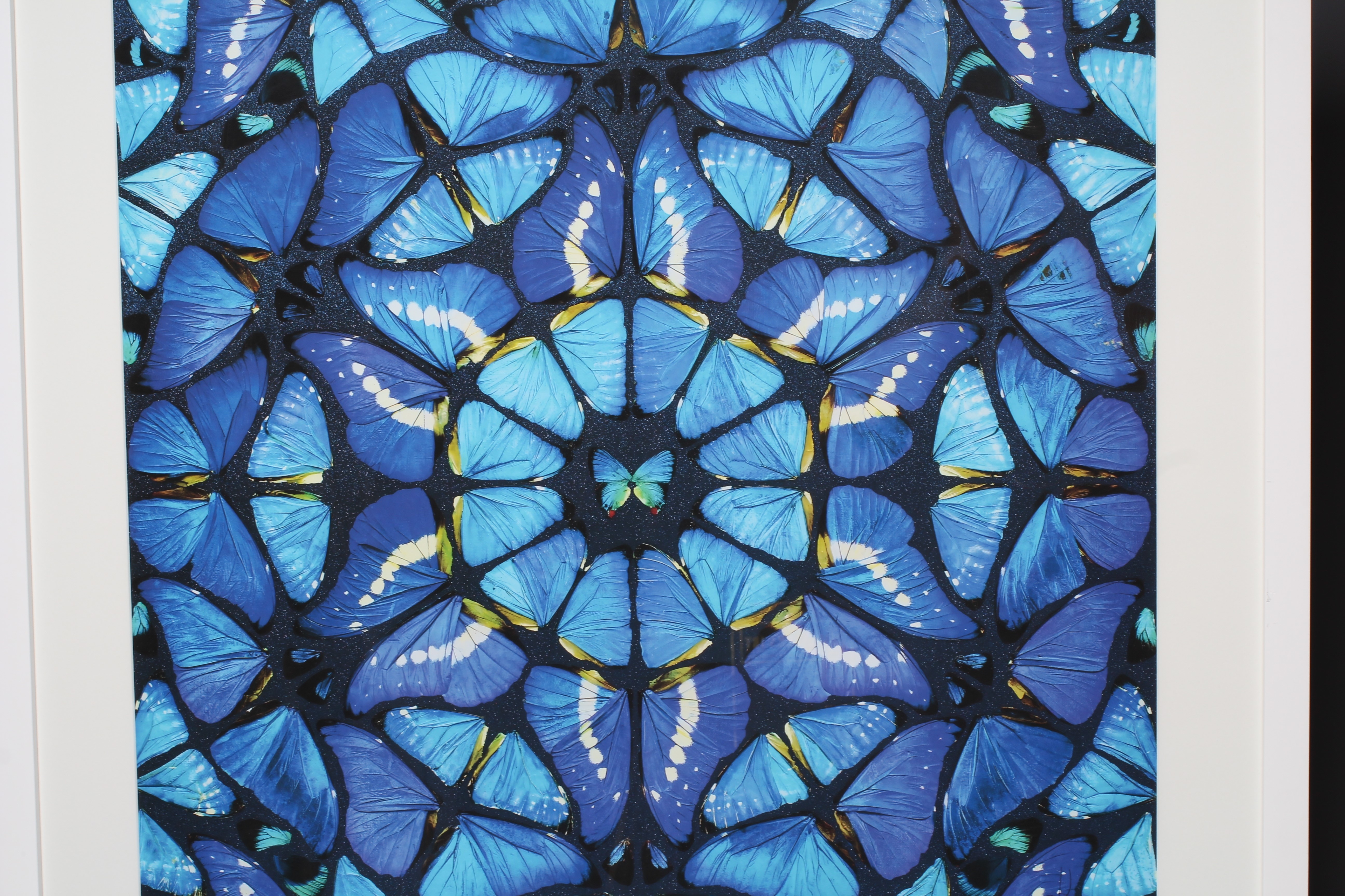 AFTER DAMIEN HIRST (B.1965) Elation, photographic print, 29" x 29" (SH), framed and glazed (subject Image