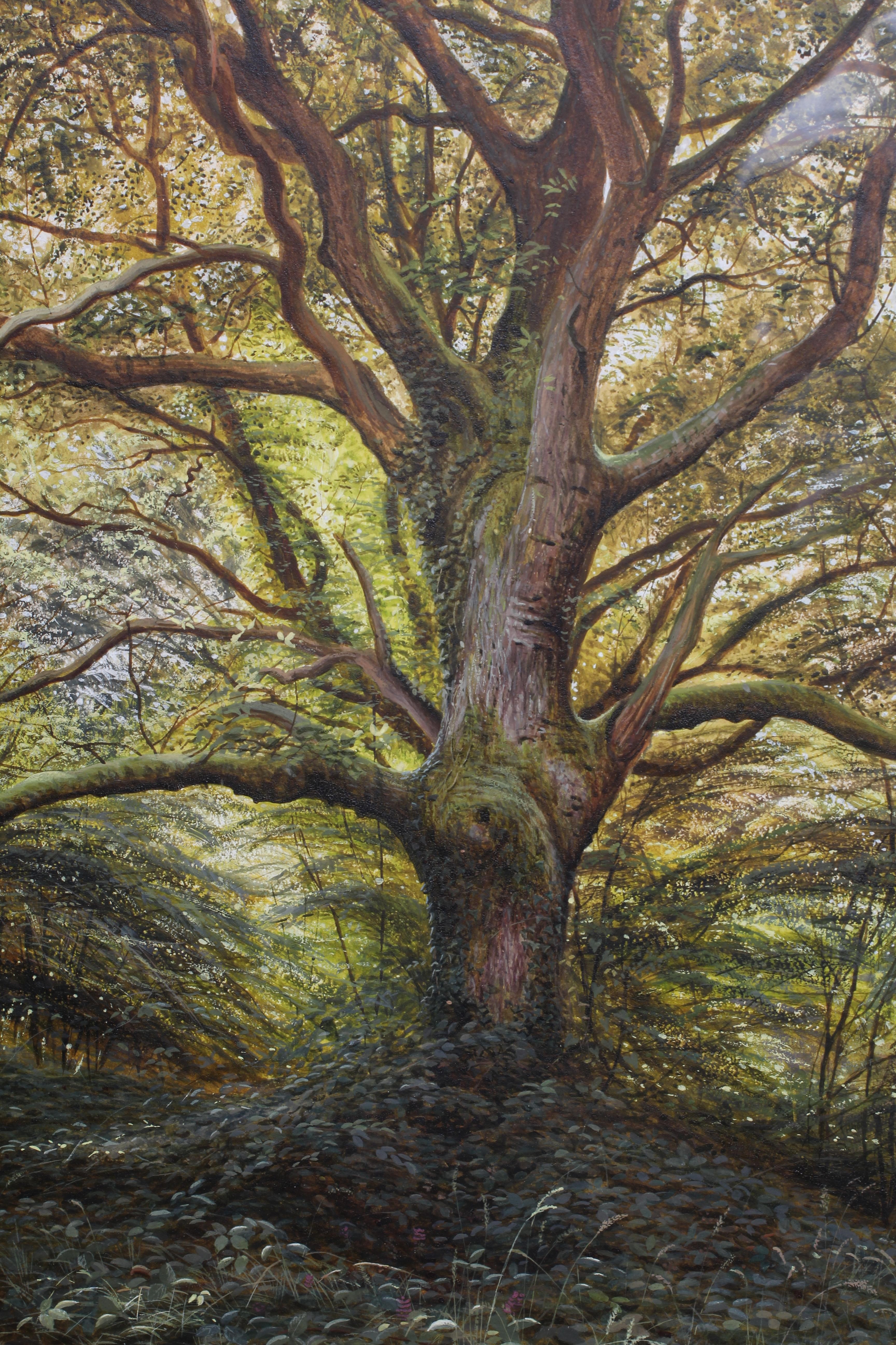 BONOMI EDWARD WARREN (Active 1860-1877) Woodland Glade, signed and dated 1872 lower left, Image