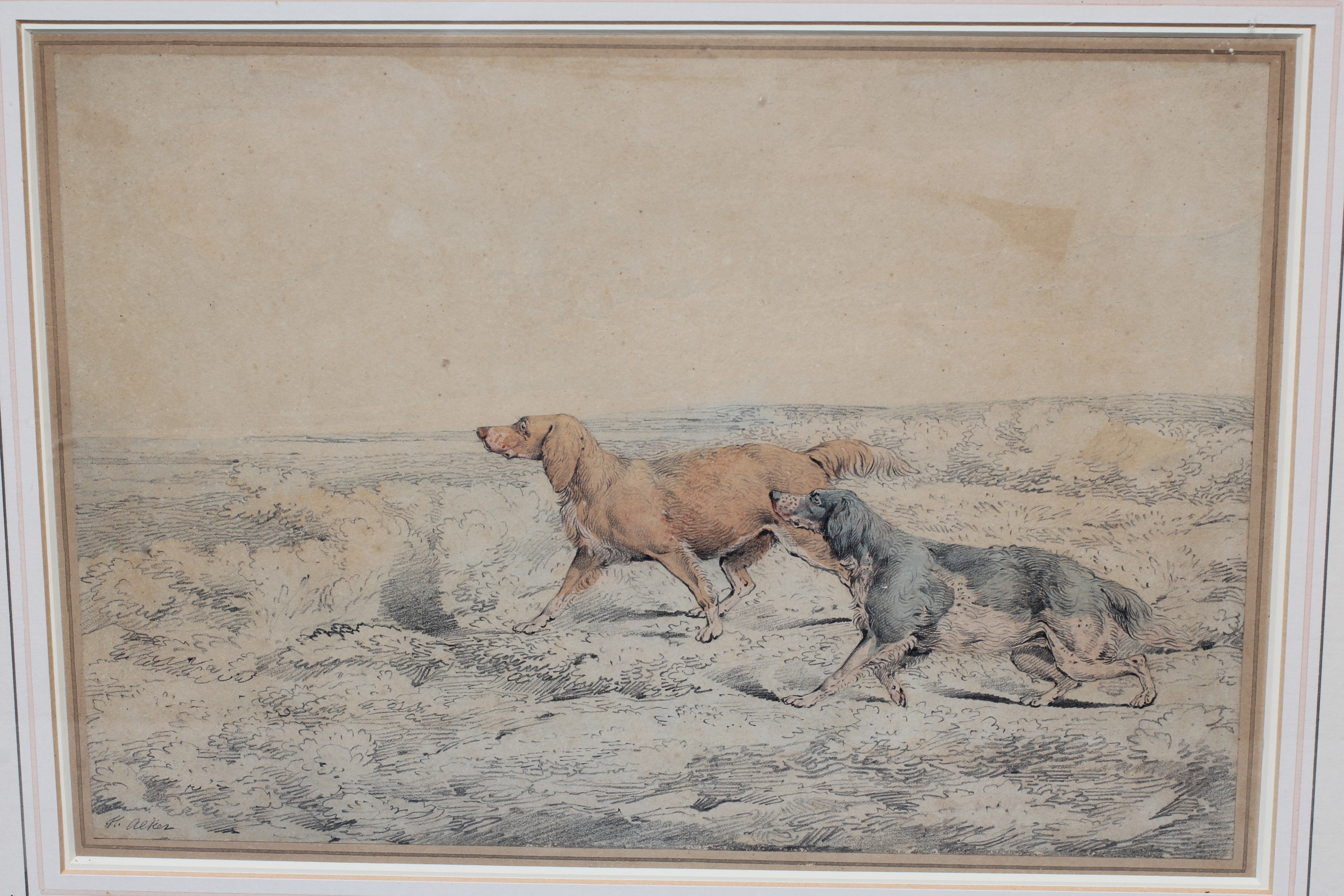 HENRY ALKEN Snr (1785-1851) Setters, signed lower left, watercolour over pencil, 9 1/4" x 13", Image