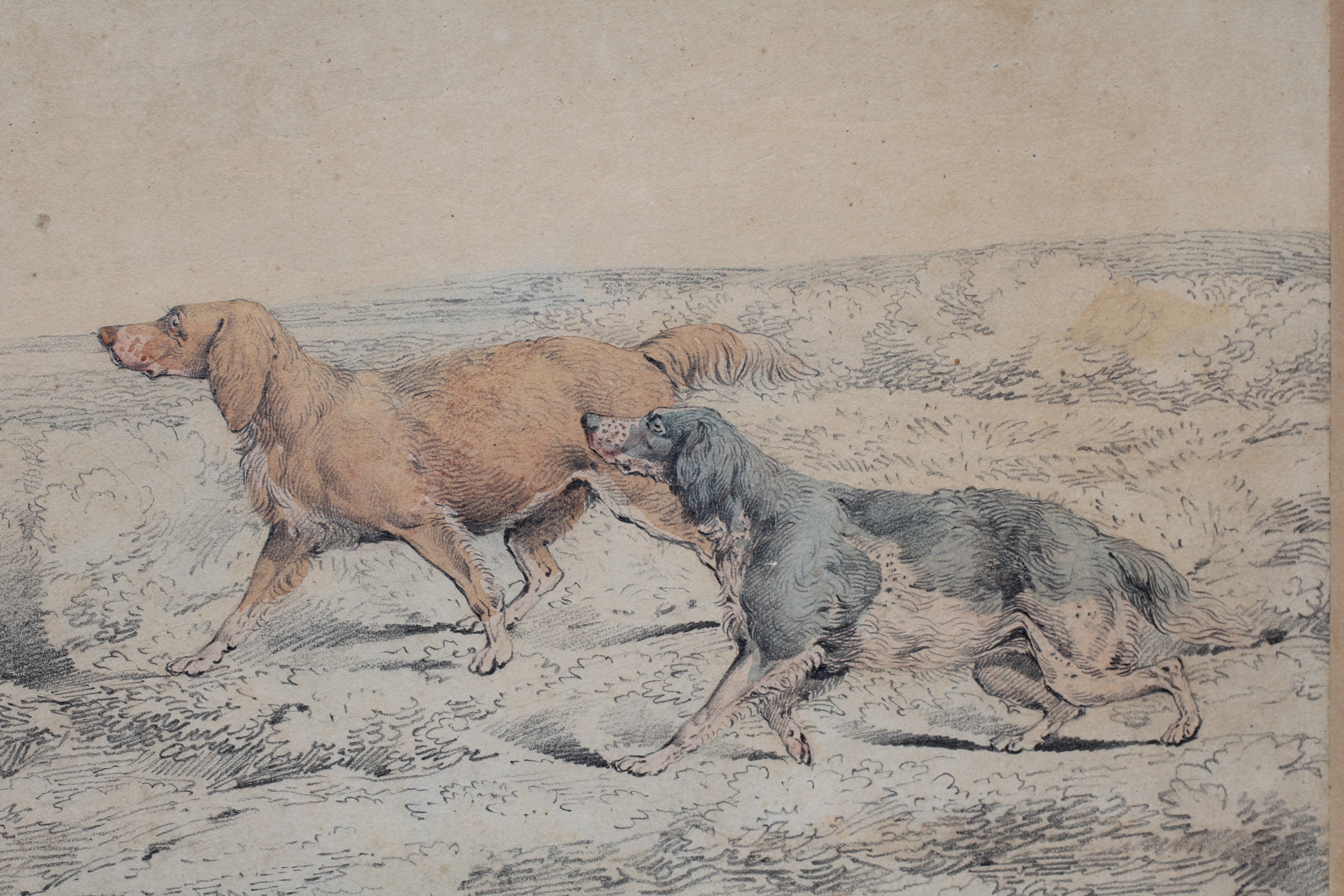 HENRY ALKEN Snr (1785-1851) Setters, signed lower left, watercolour over pencil, 9 1/4" x 13", Image