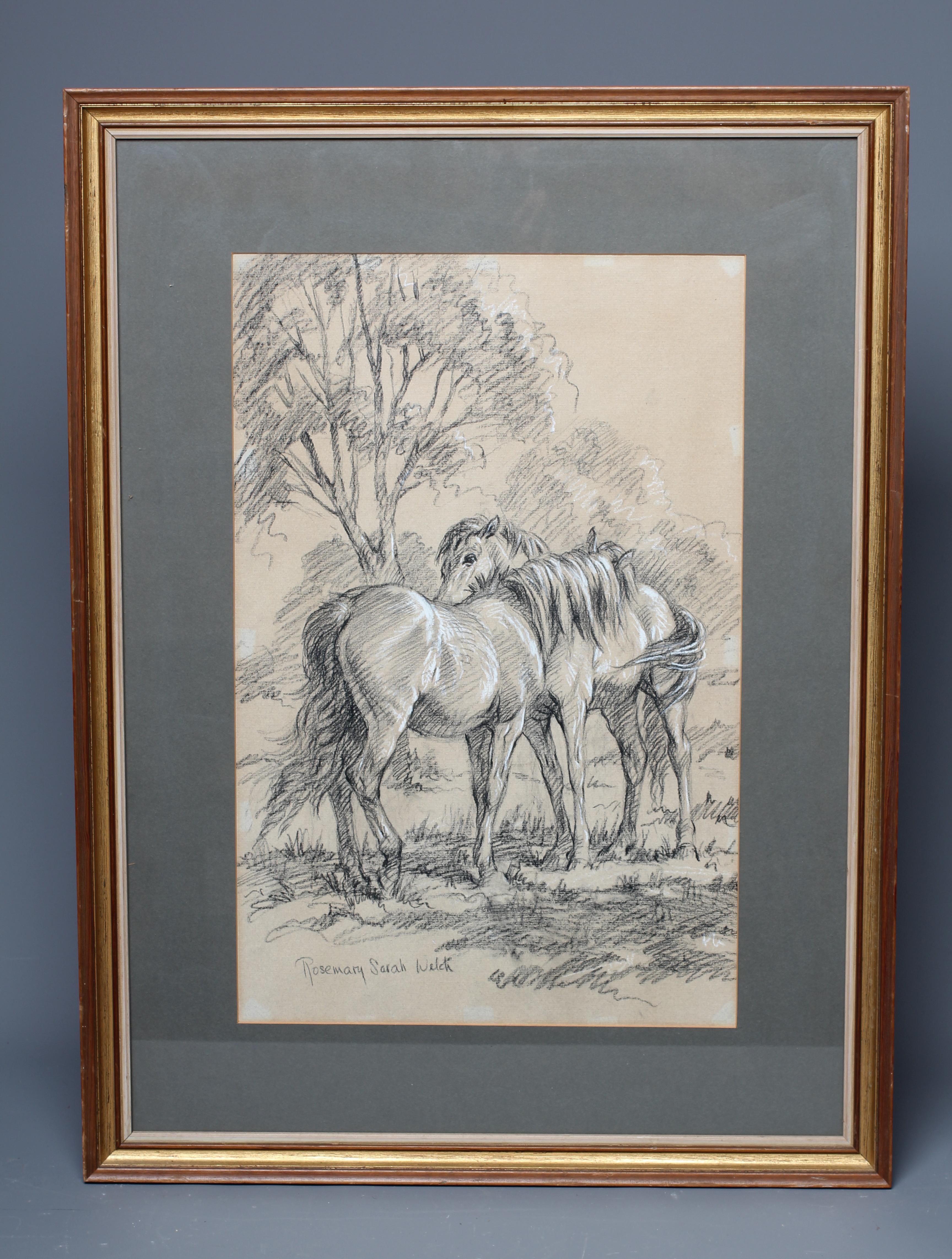 ROSEMARY SARAH WELCH (B.1946) Ponies in a Paddock, signed lower left, charcoal, 19" x 12", framed Image