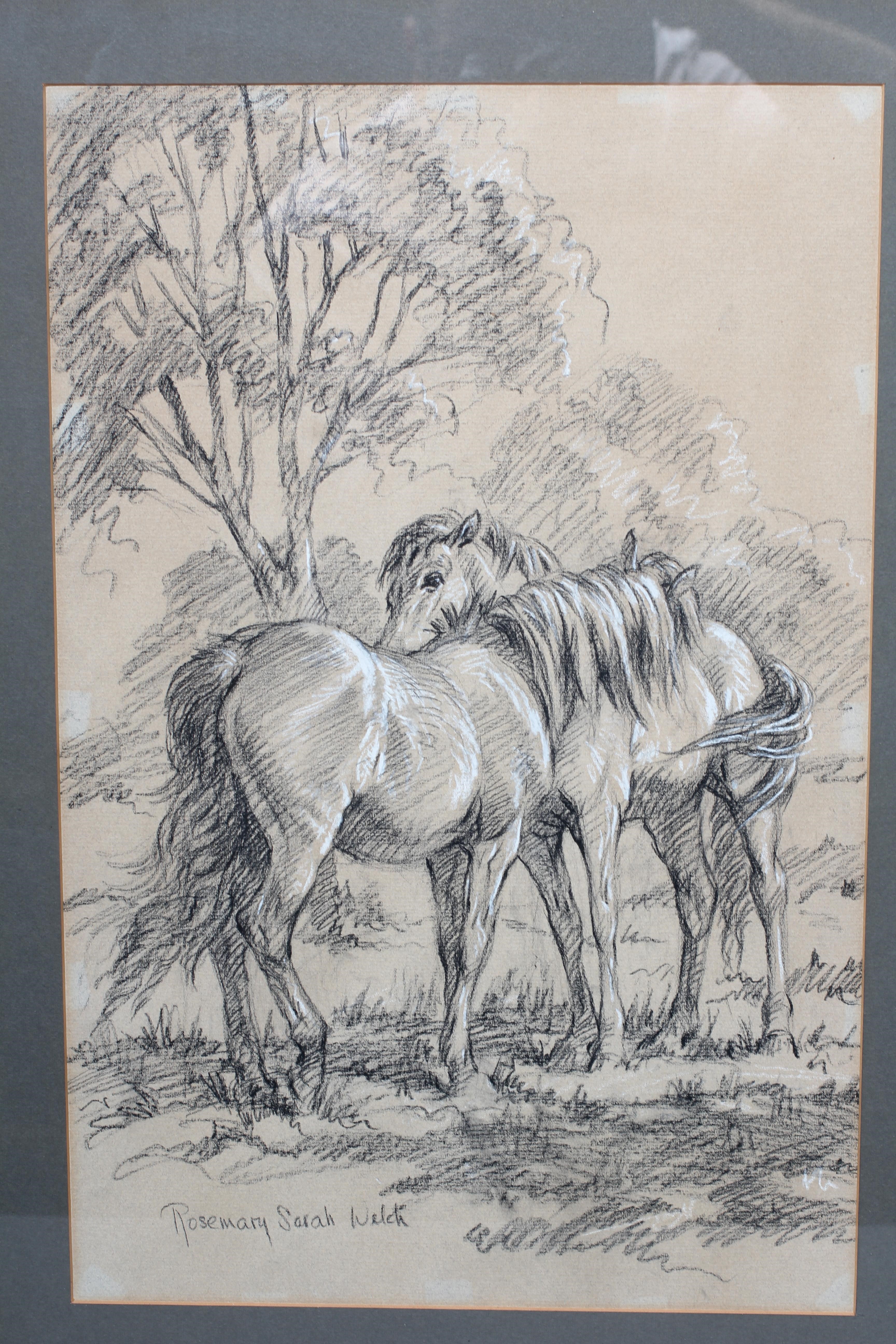 ROSEMARY SARAH WELCH (B.1946) Ponies in a Paddock, signed lower left, charcoal, 19" x 12", framed Image