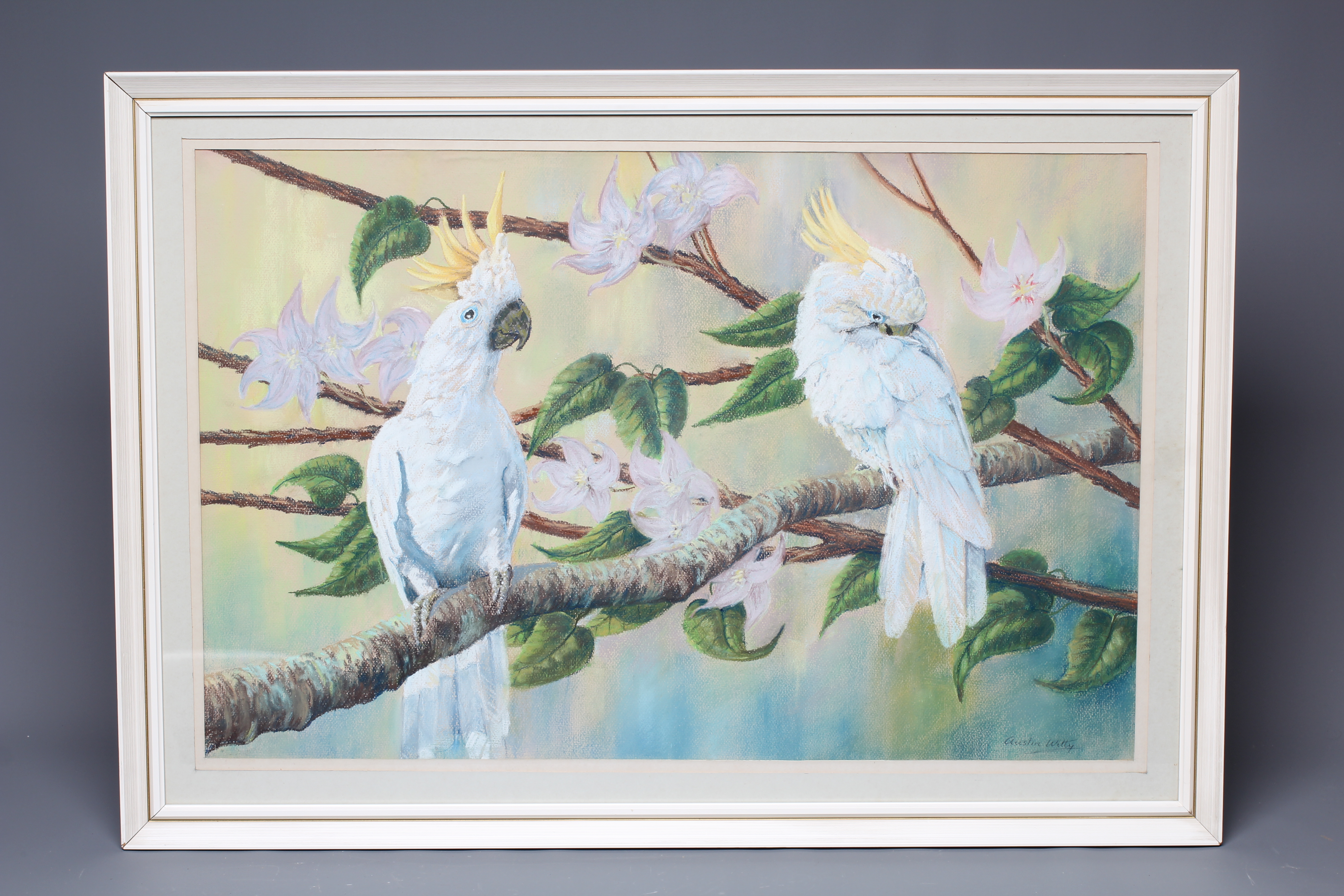 AUSTIN WITTY (British School, 20th Century) Cockatoos, signed lower right, pastel, 18 1/2" x 26 Image