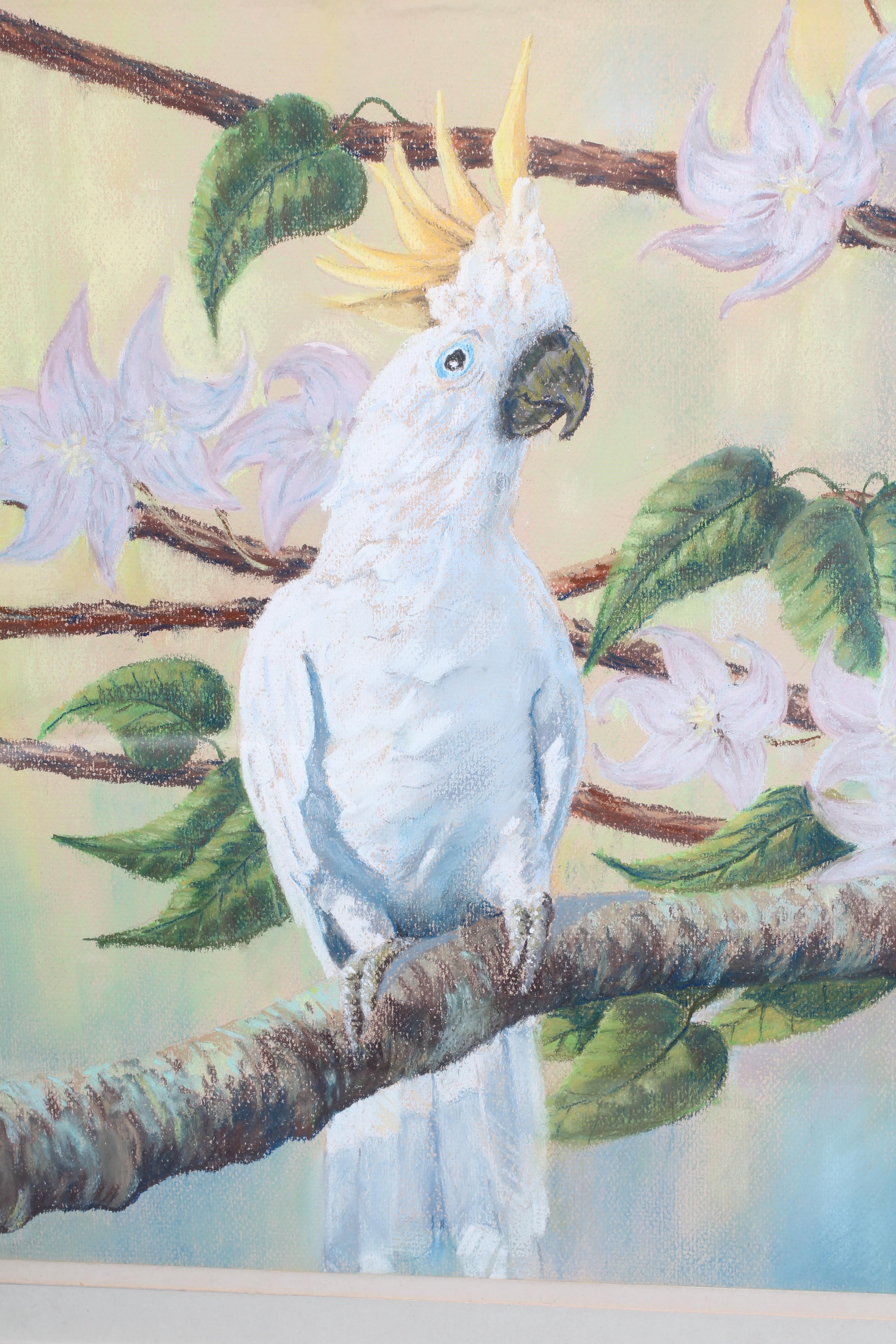 AUSTIN WITTY (British School, 20th Century) Cockatoos, signed lower right, pastel, 18 1/2" x 26 Image