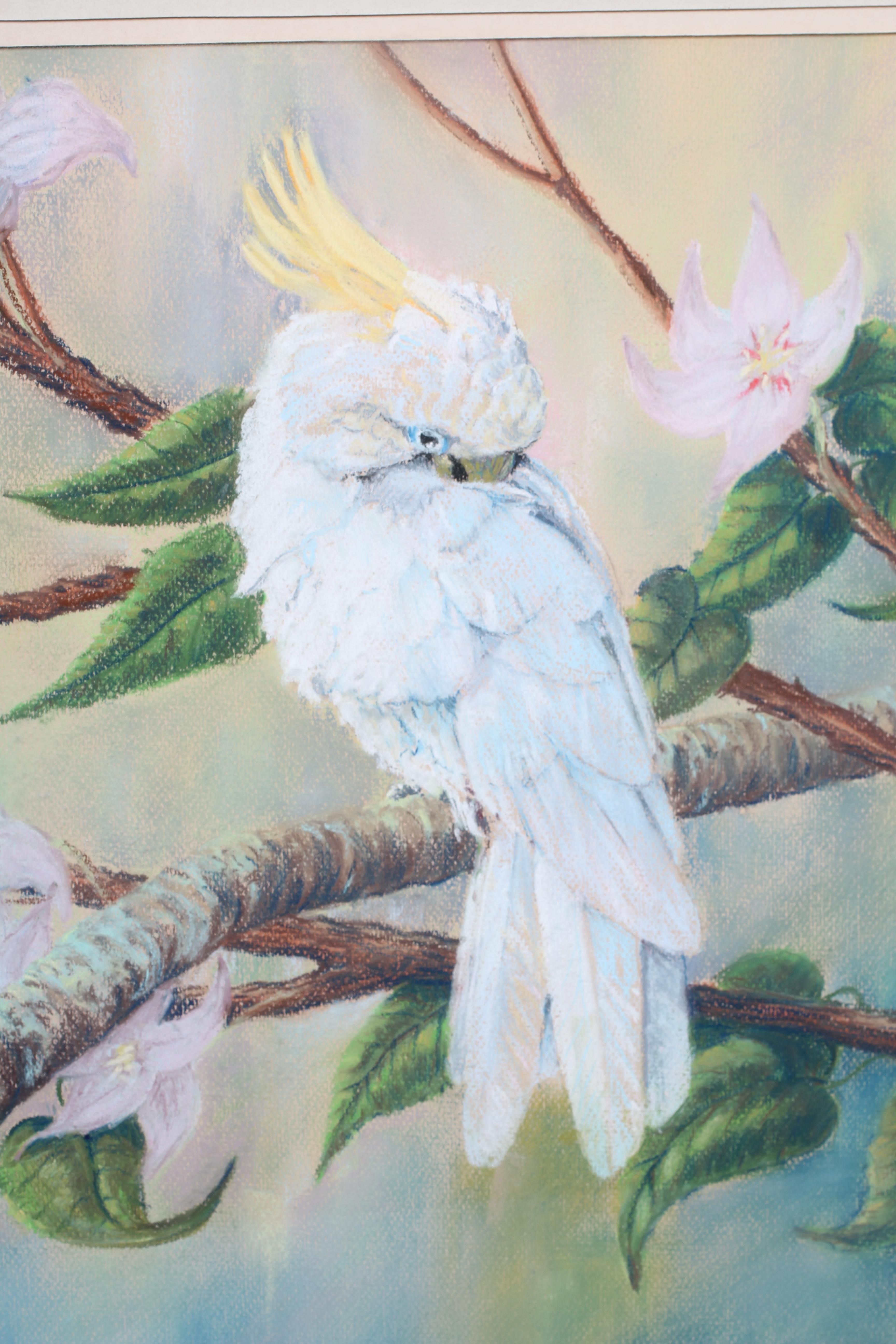 AUSTIN WITTY (British School, 20th Century) Cockatoos, signed lower right, pastel, 18 1/2" x 26 Image