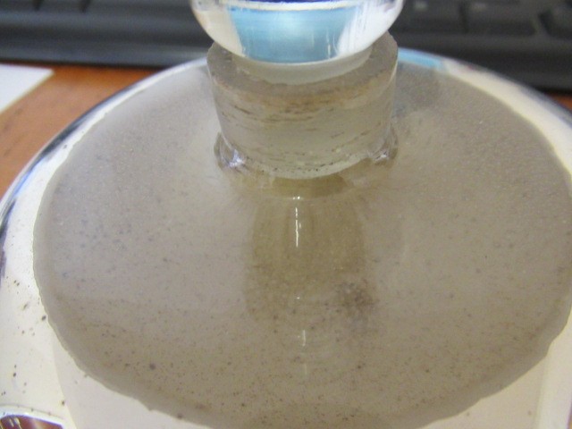 TWO APOTHECARY CLEAR GLASS DISPLAY MUSHROOMS Image